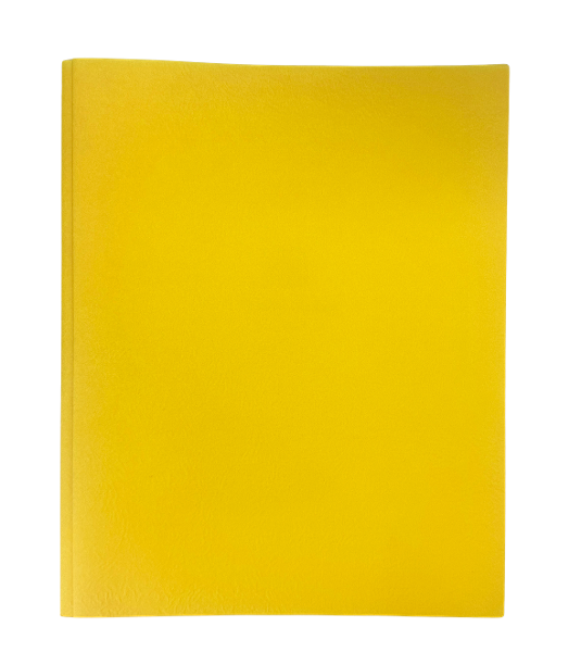 ROARING SPRING POCKET AND PRONG FOLDER; $0.89