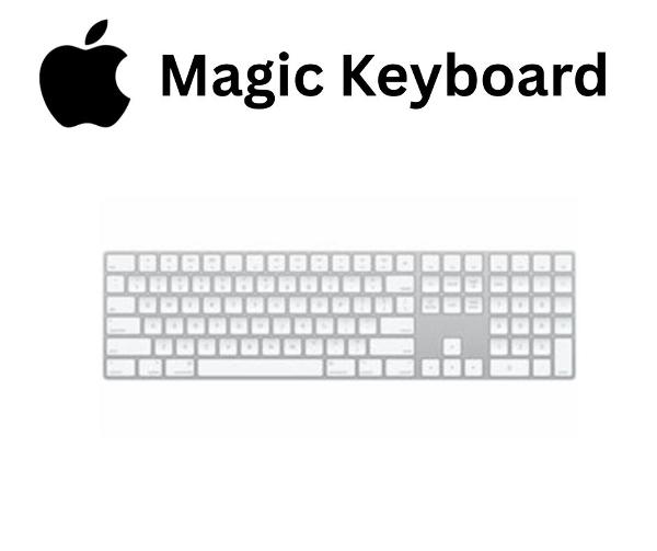 Apple - Magic Keyboard - Numeric Keypad; $129.00
