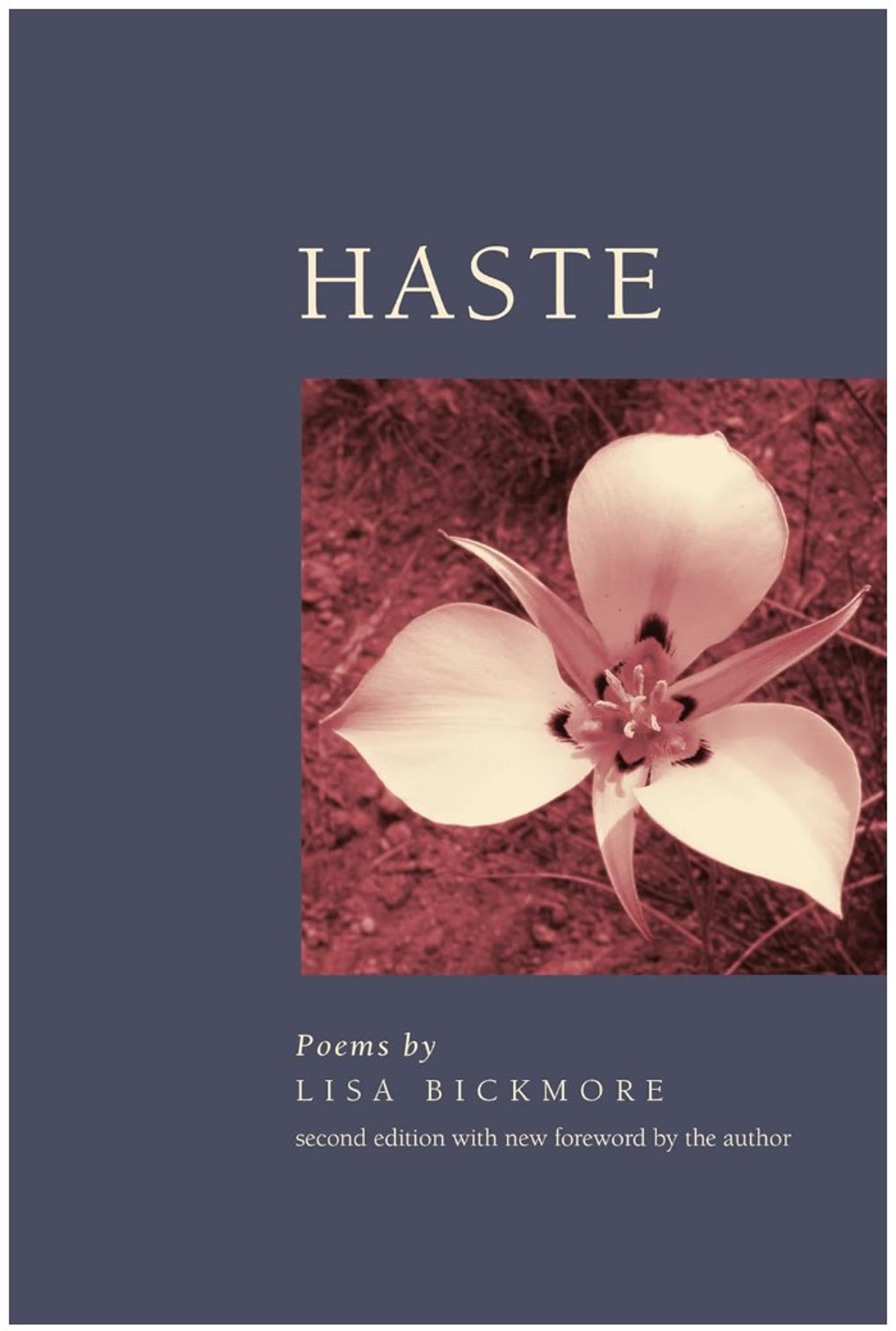 Cover image for HASTE