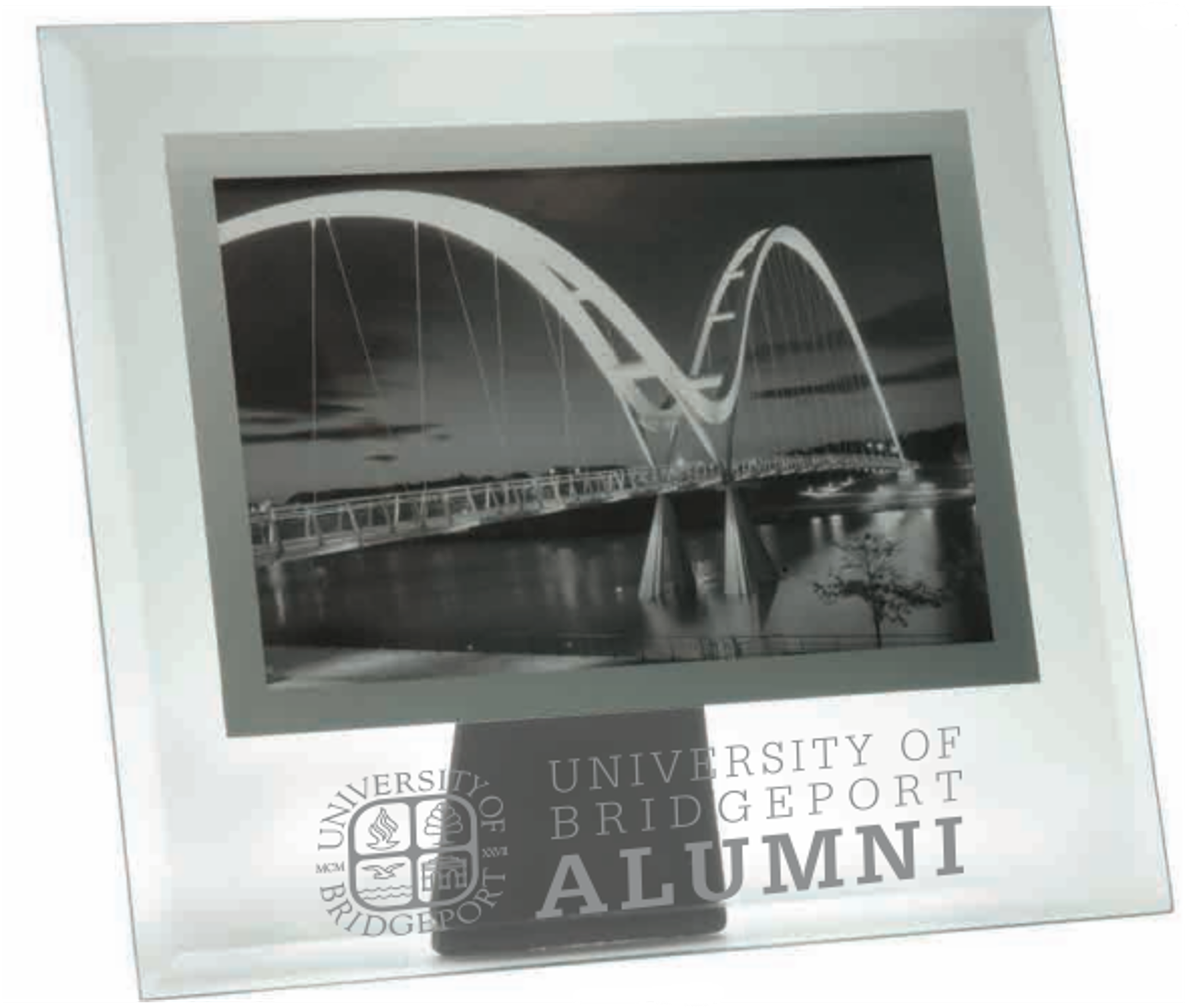 University of Bridgeport Alumni Parisian Glass Frame University of