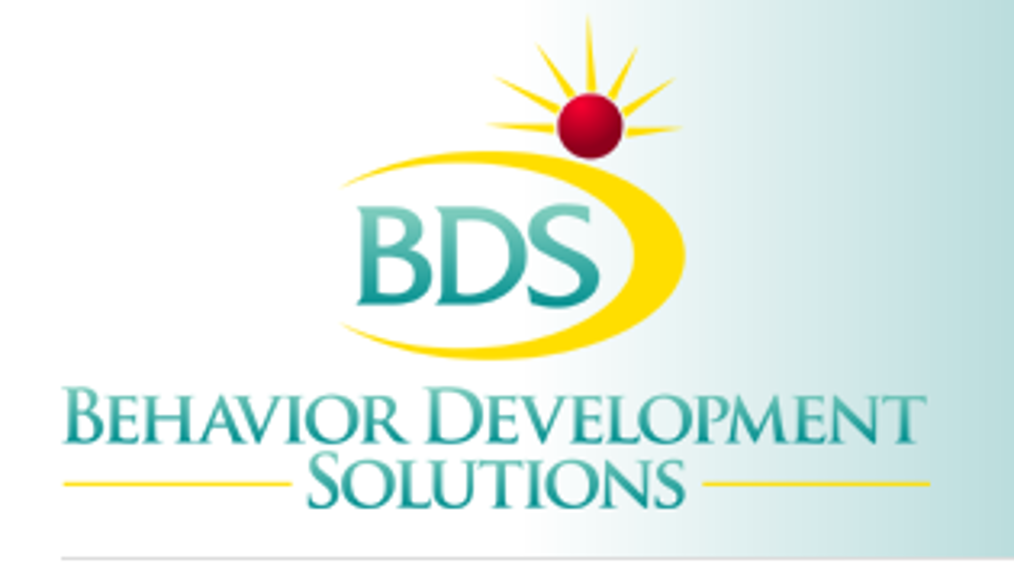 Cover image for CBA Learning Module Series (24 months)