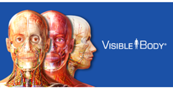 Visible Body Courseware Access Code (2-Year Subscription); $65.00