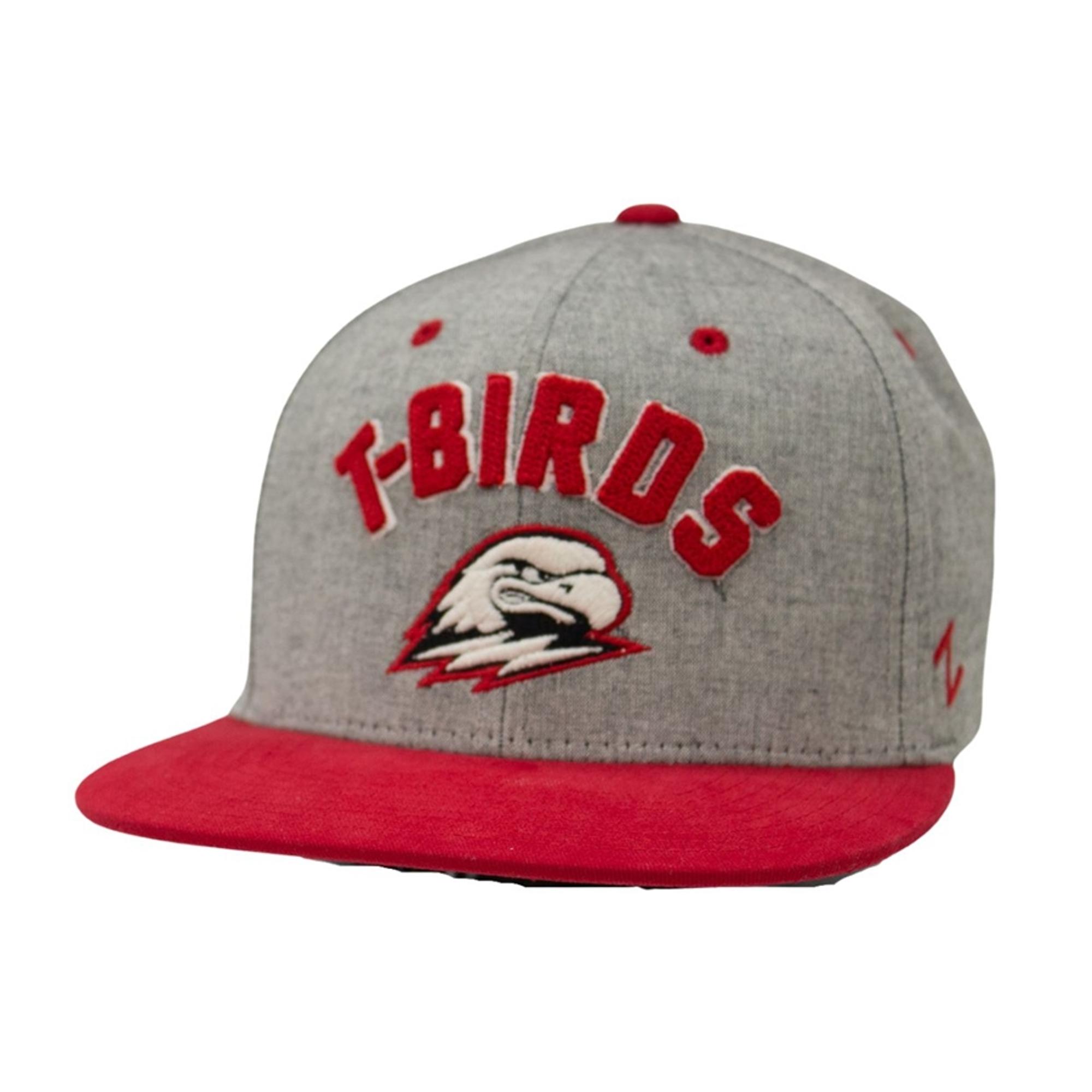 image of: Zephyr T-Birds Flat Bill Hat