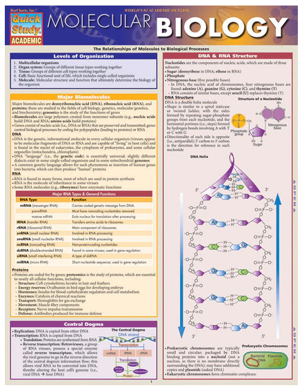 Cover image for MOLECULAR BIOLOGY LAMINATED STUDY GUIDE