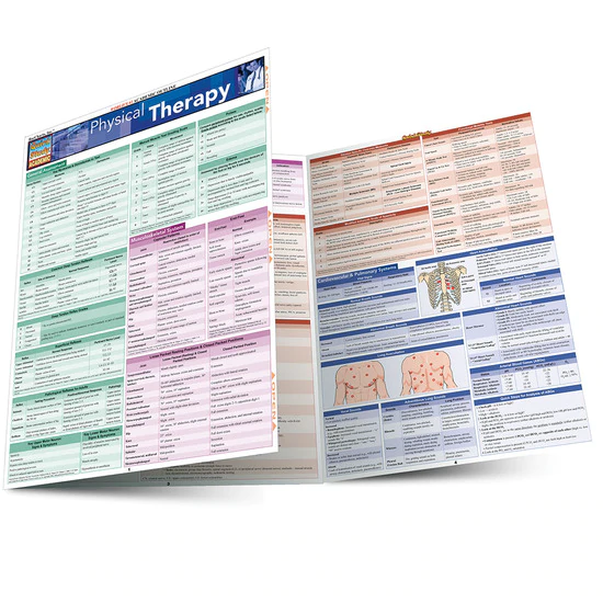 Cover image for PHYSICAL THERAPY: LAMINATED STUDY GUIDE