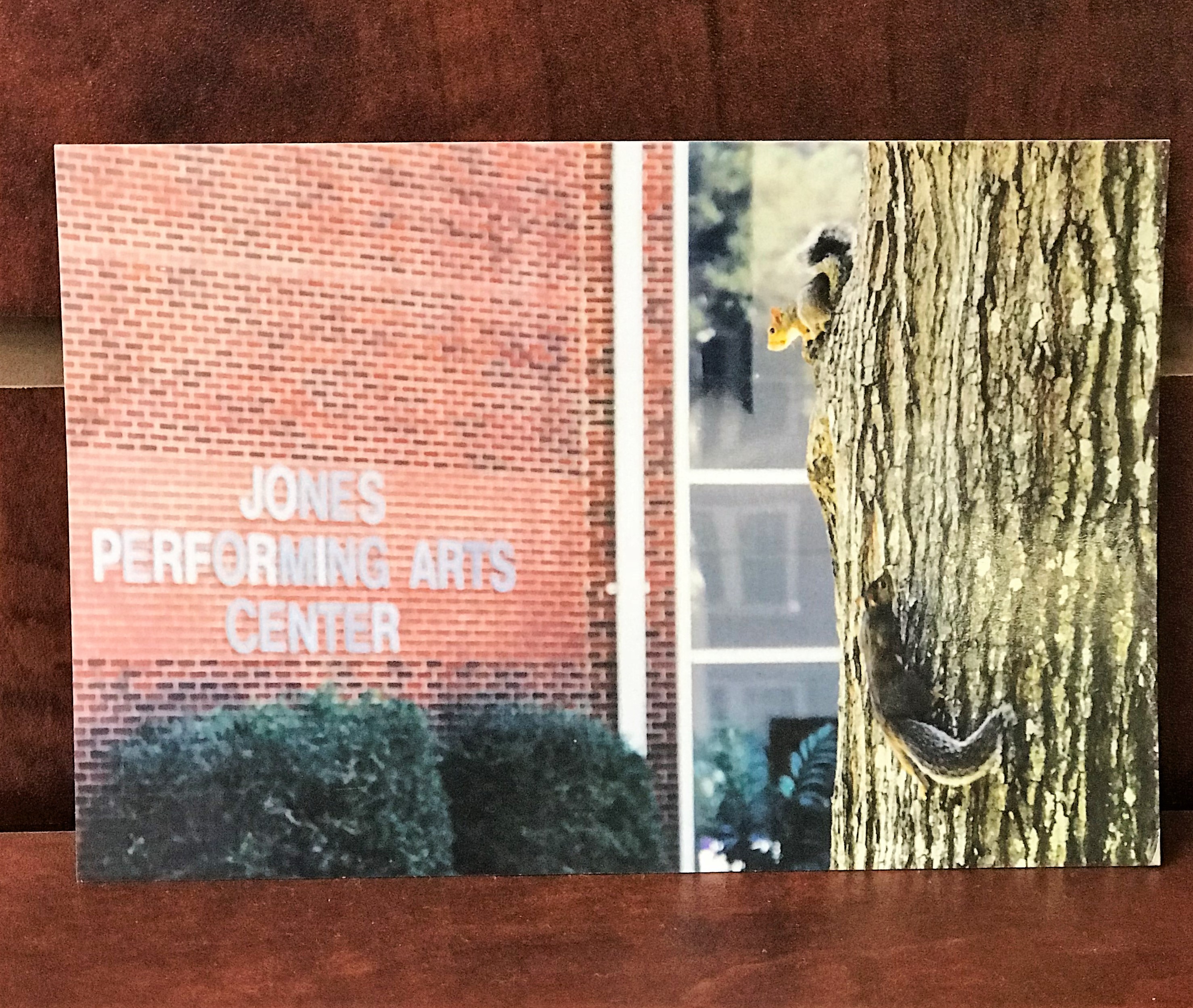 image of: JPAC WITH SQUIRRELS POSTCARD