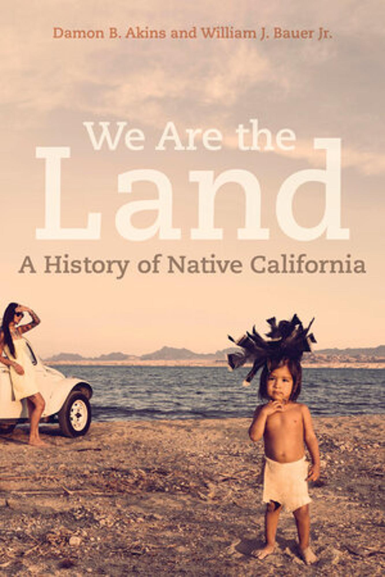 Cover image for WE ARE THE LAND