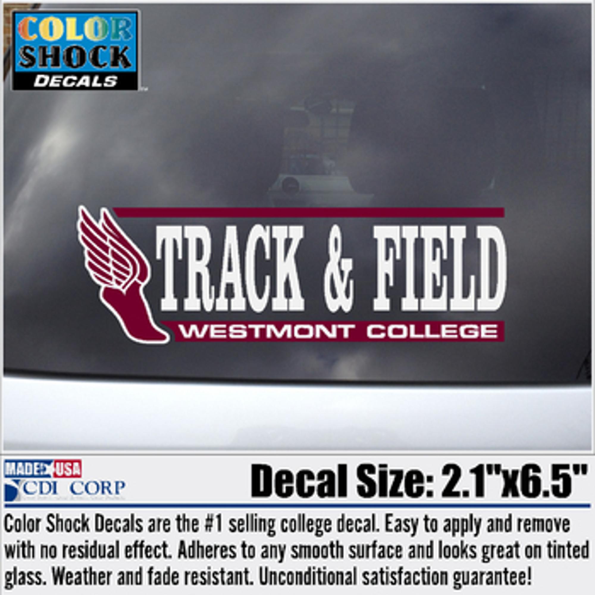 image of: Color Shock Track and Field Decal