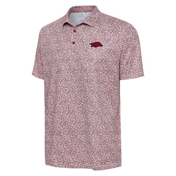 Arkansas Razorbacks Field Ditsy Polo; $78.00
