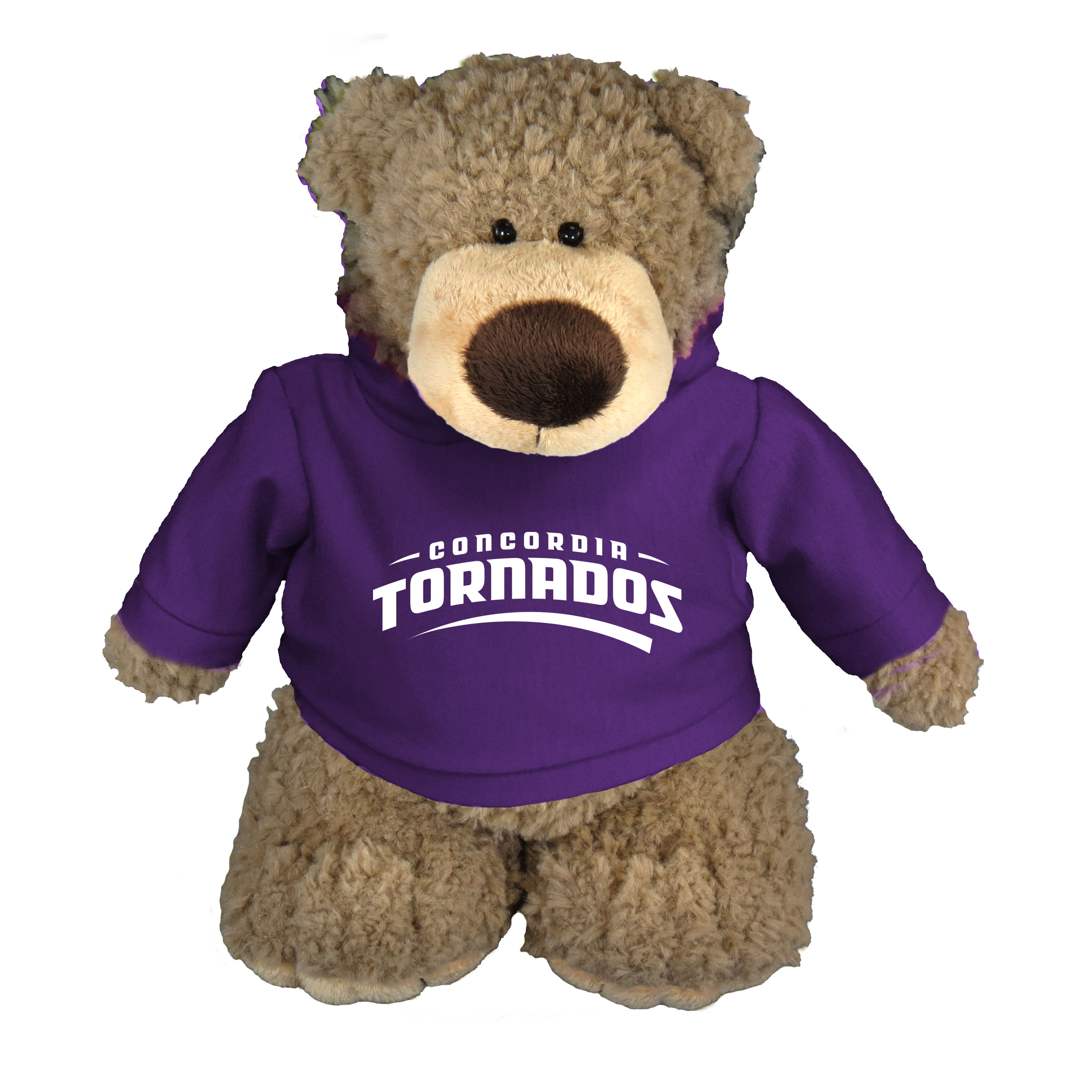 image of: Archie Teddy Bear with Purple Hoodie