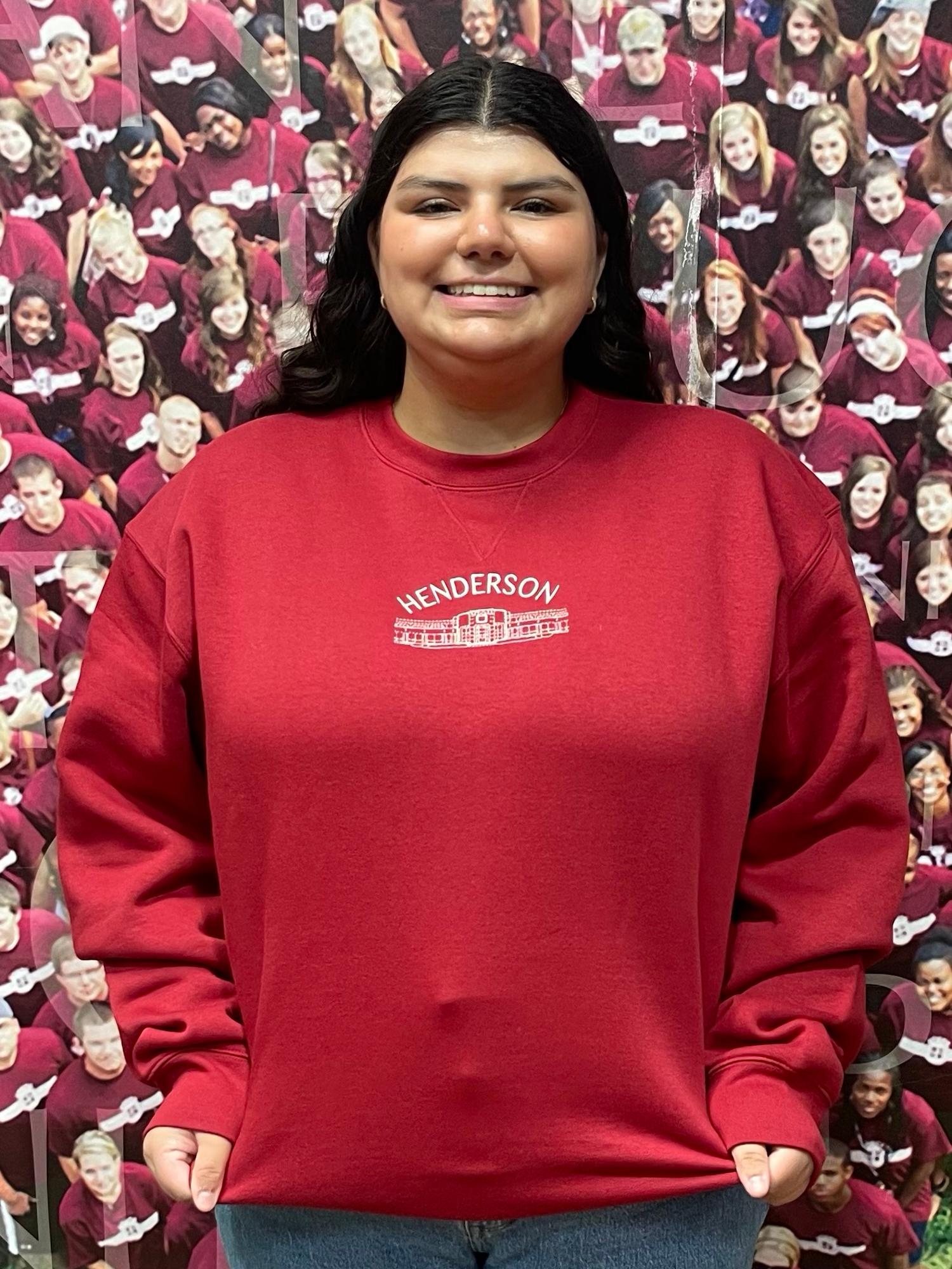 Product image 3 of 4 for Henderson Big Cotton Tumbled Crew