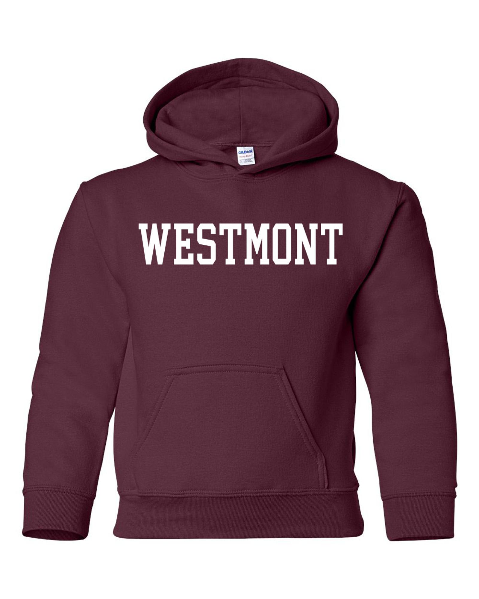 image of: MV Sport Youth Hoody