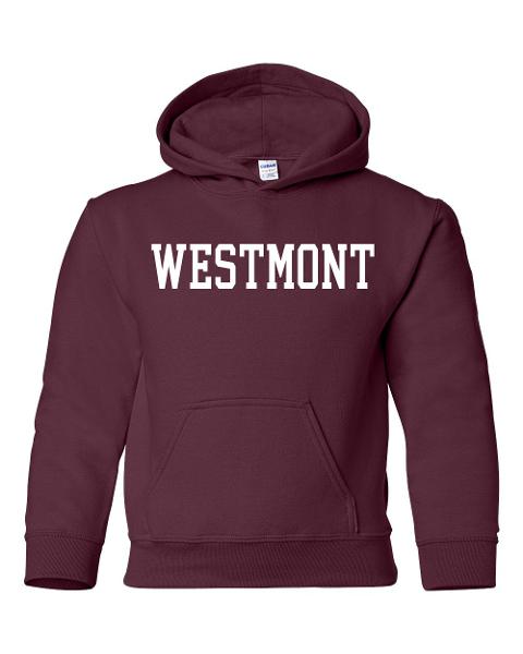 MV Sport Youth Hoody; $29.95