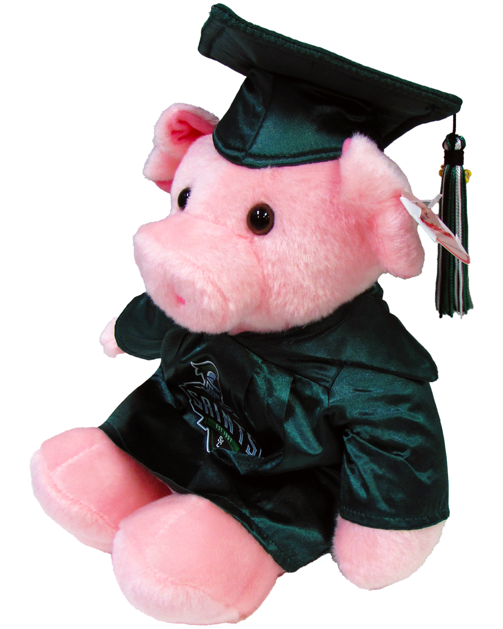 Product image 3 of 4 for Graduation Pig Green Cap & Gown 11"