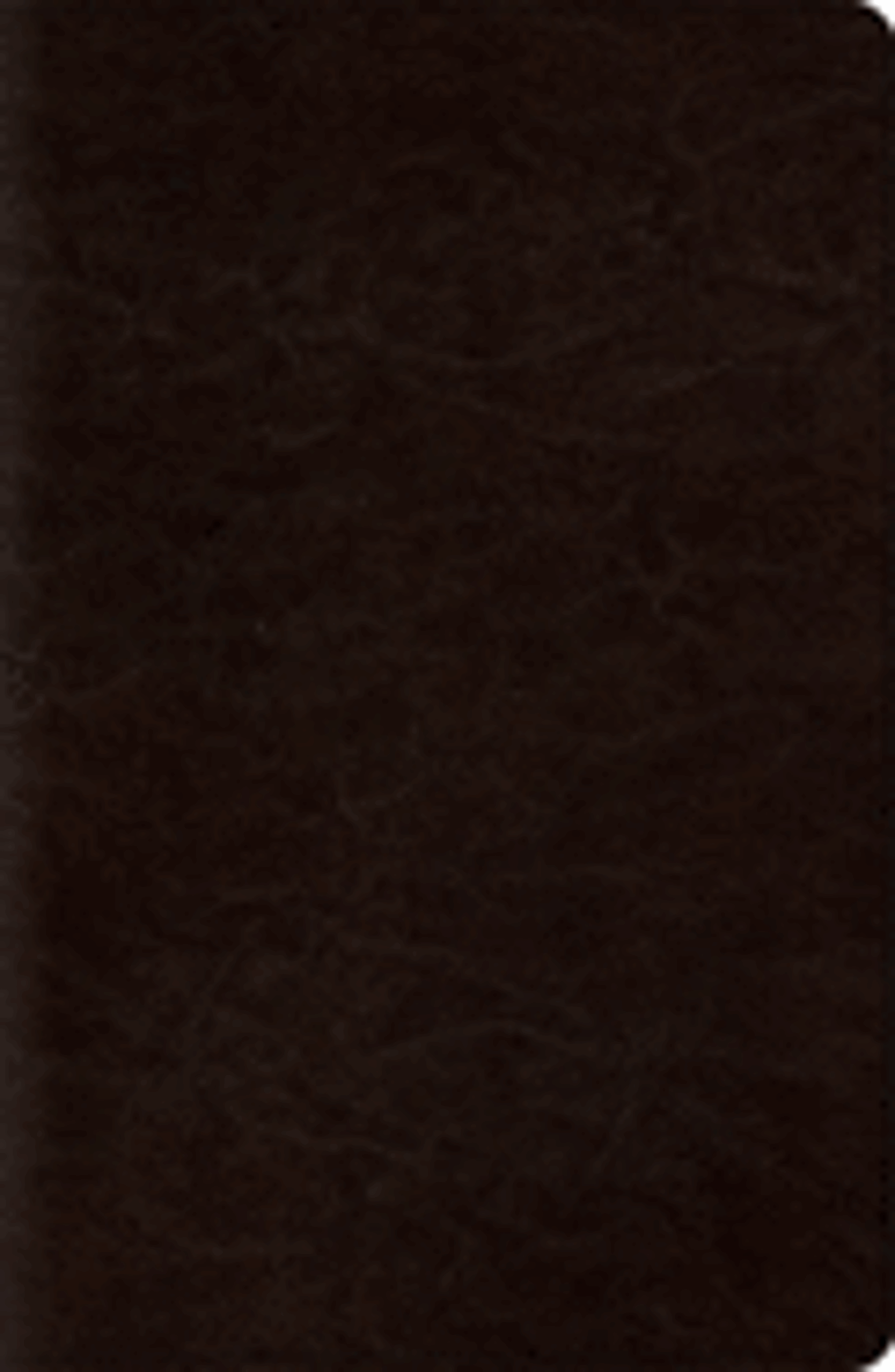 Cover image for ESV New Classic Reference Bible (TruTone, Coffee)