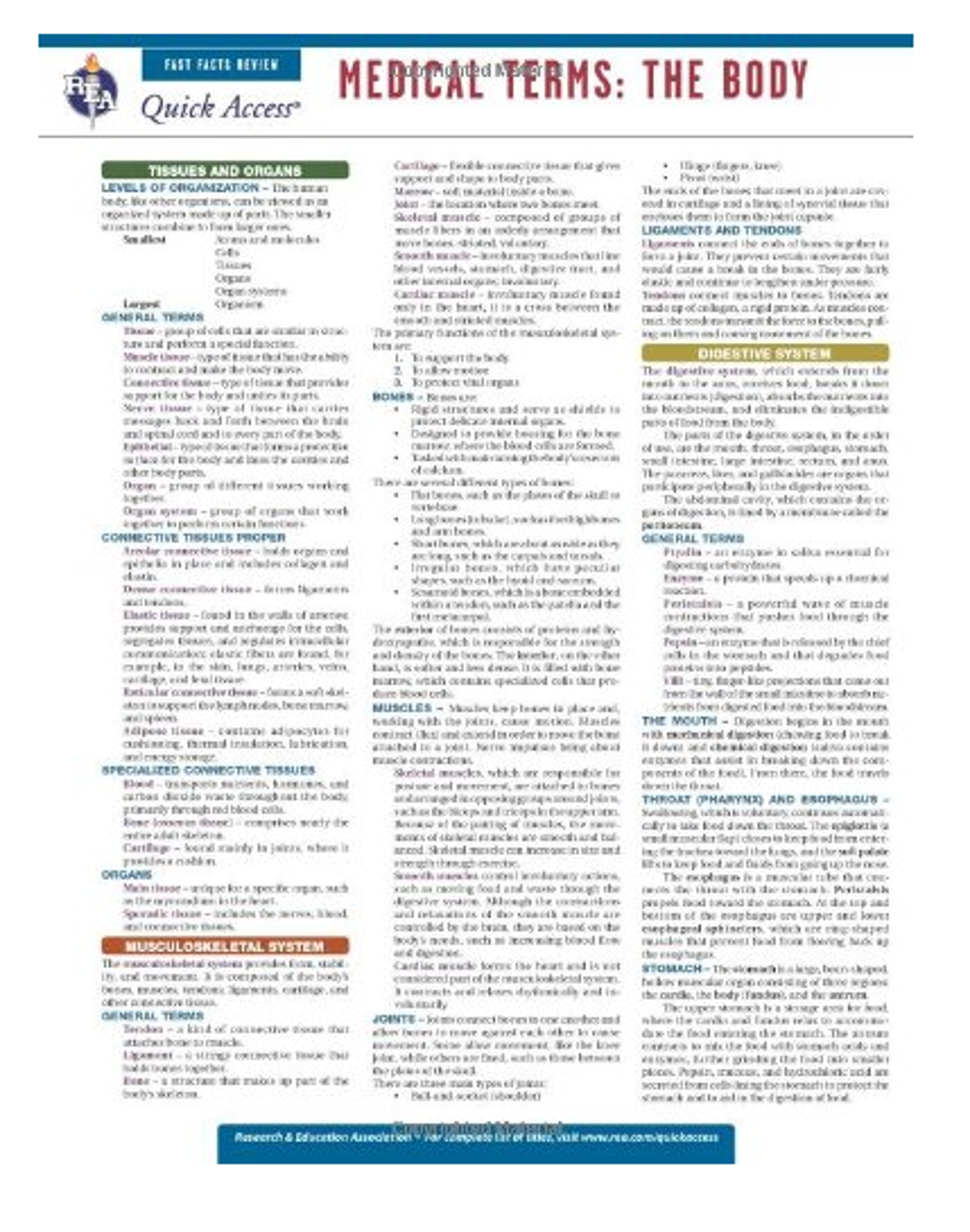 Cover image for MEDICAL TERMS THE BODY QUICK ACCESS CHART - BARCHARTS