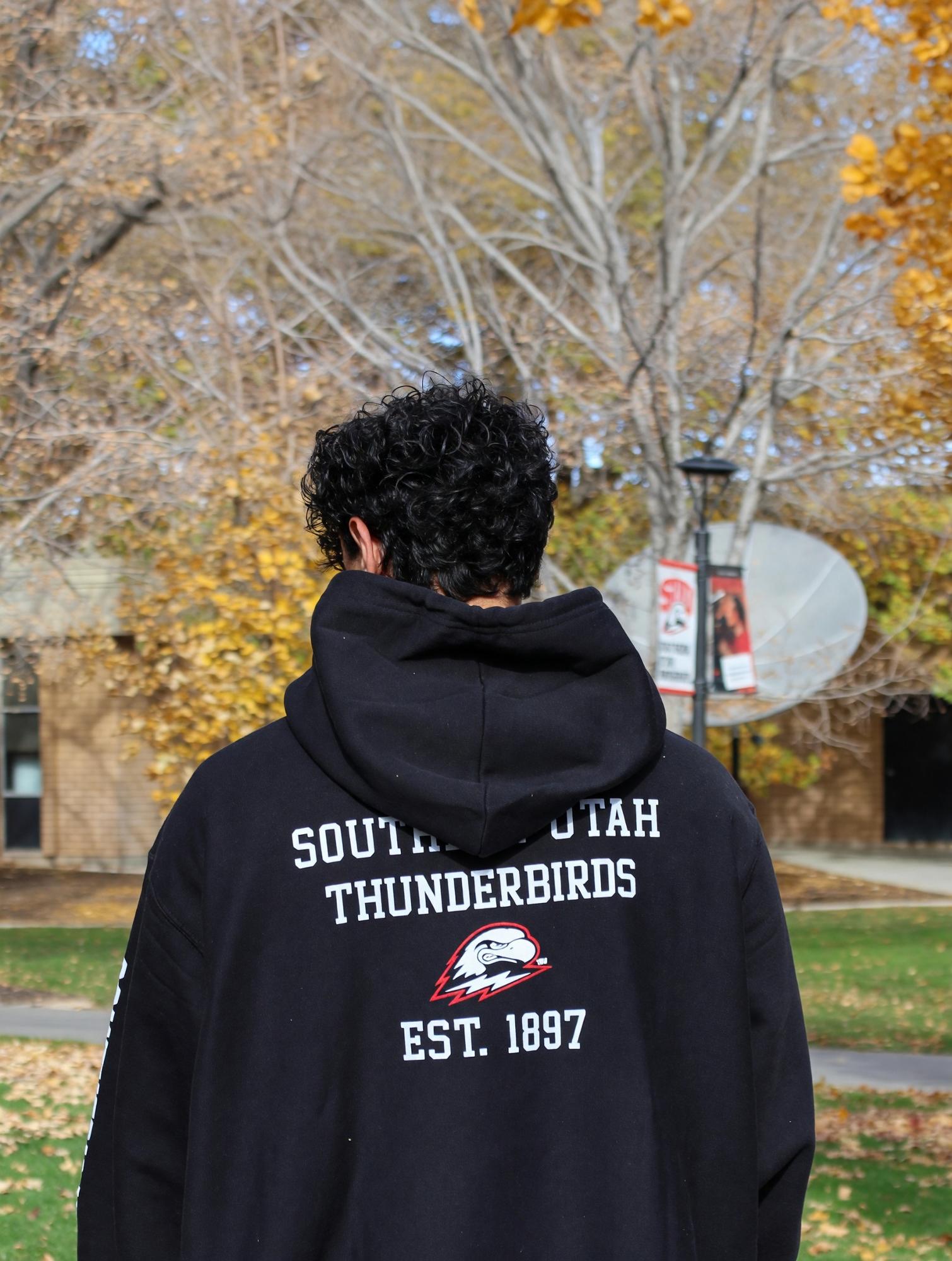 Product image 2 of 2 for Sport Black Hood  Thor Front Left 1897