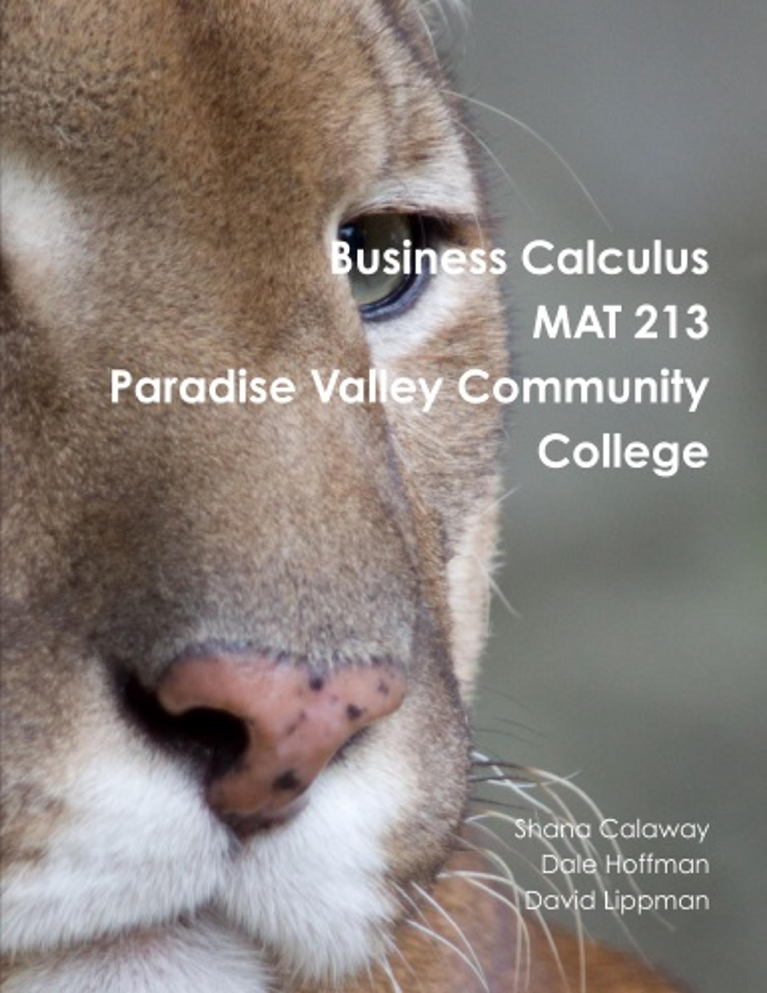 Cover image for Business Calculus