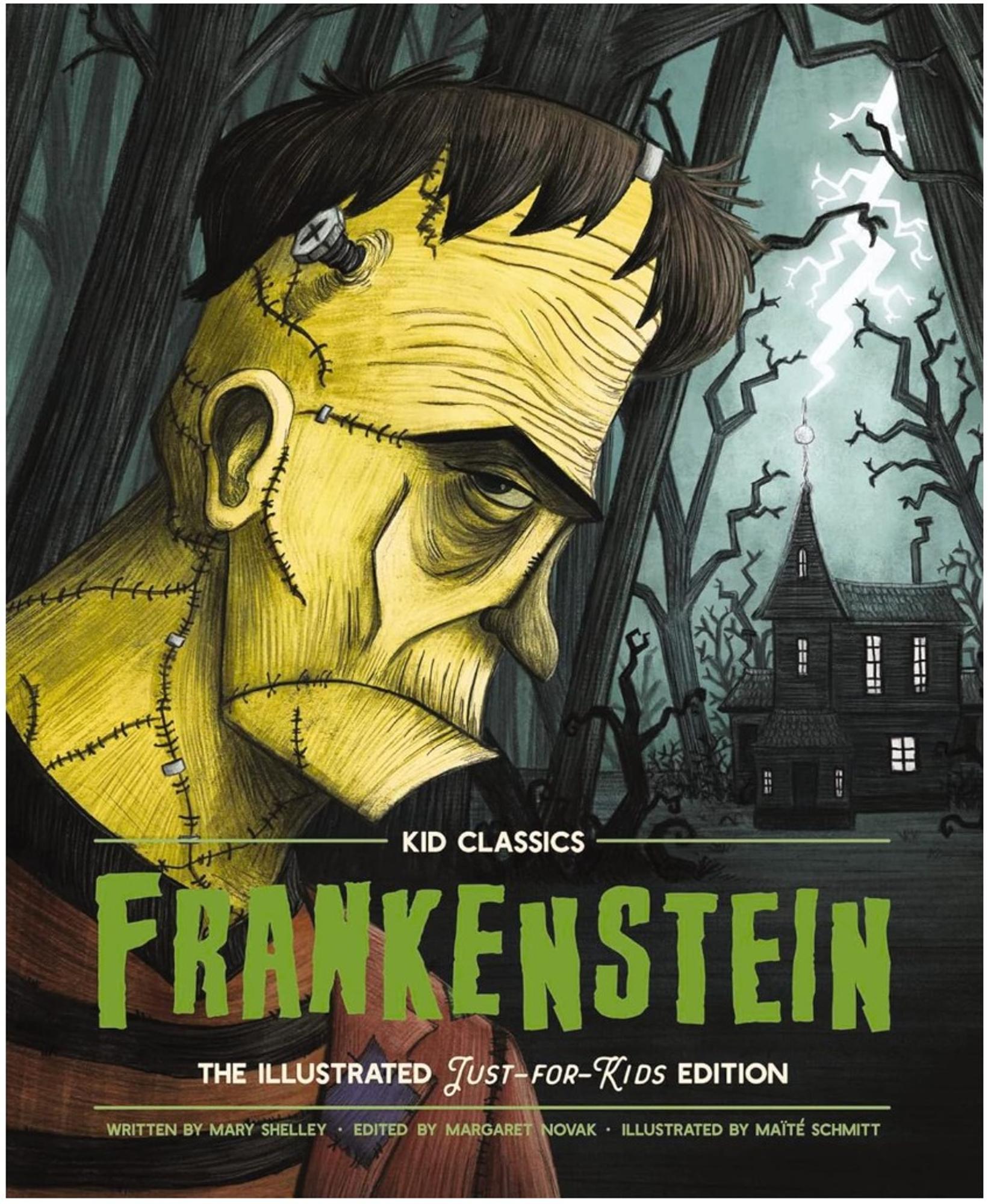 Cover image for KID CLASSICS: FRANKENSTEIN