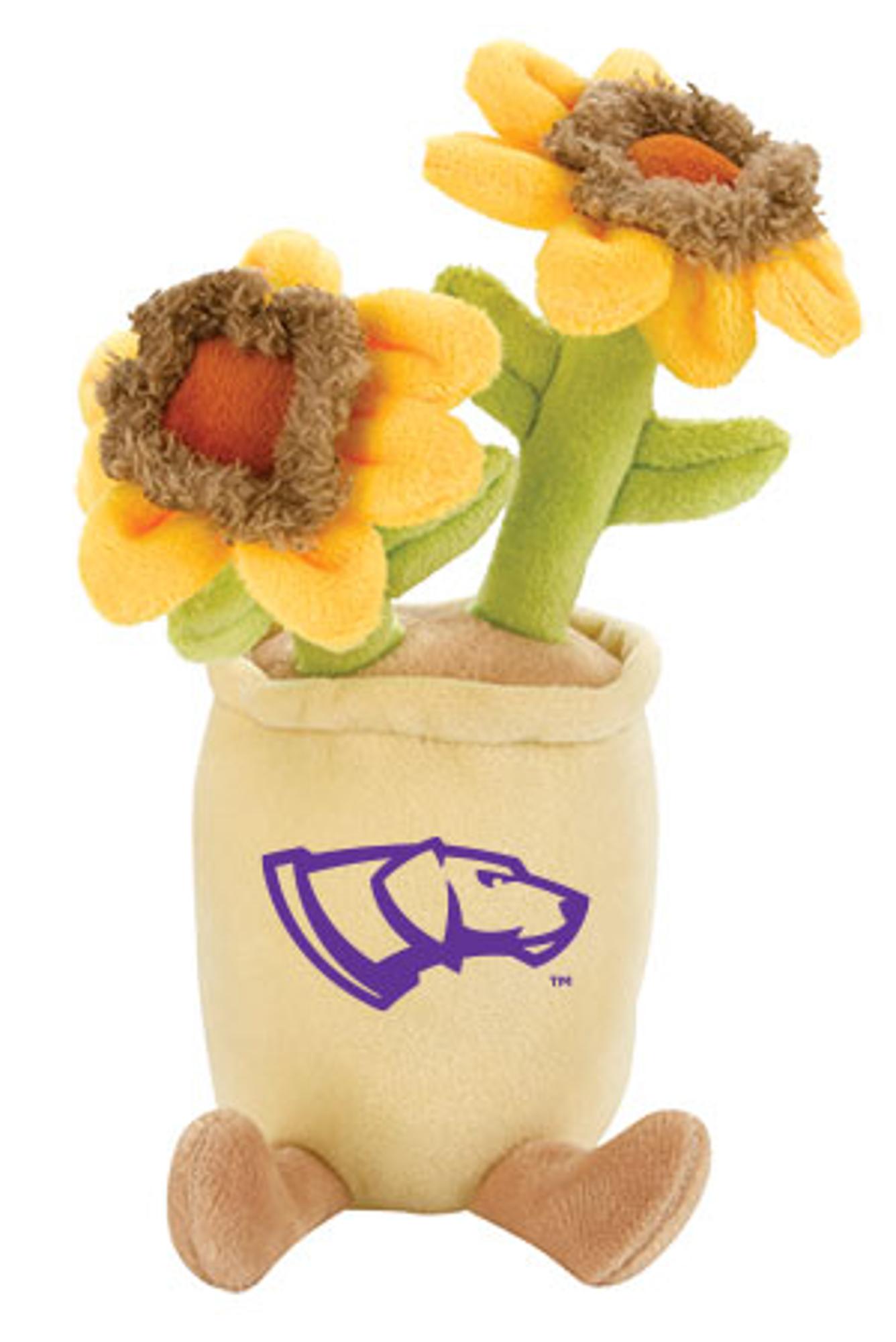 Product image 2 of 4 for UWSP Zenzies