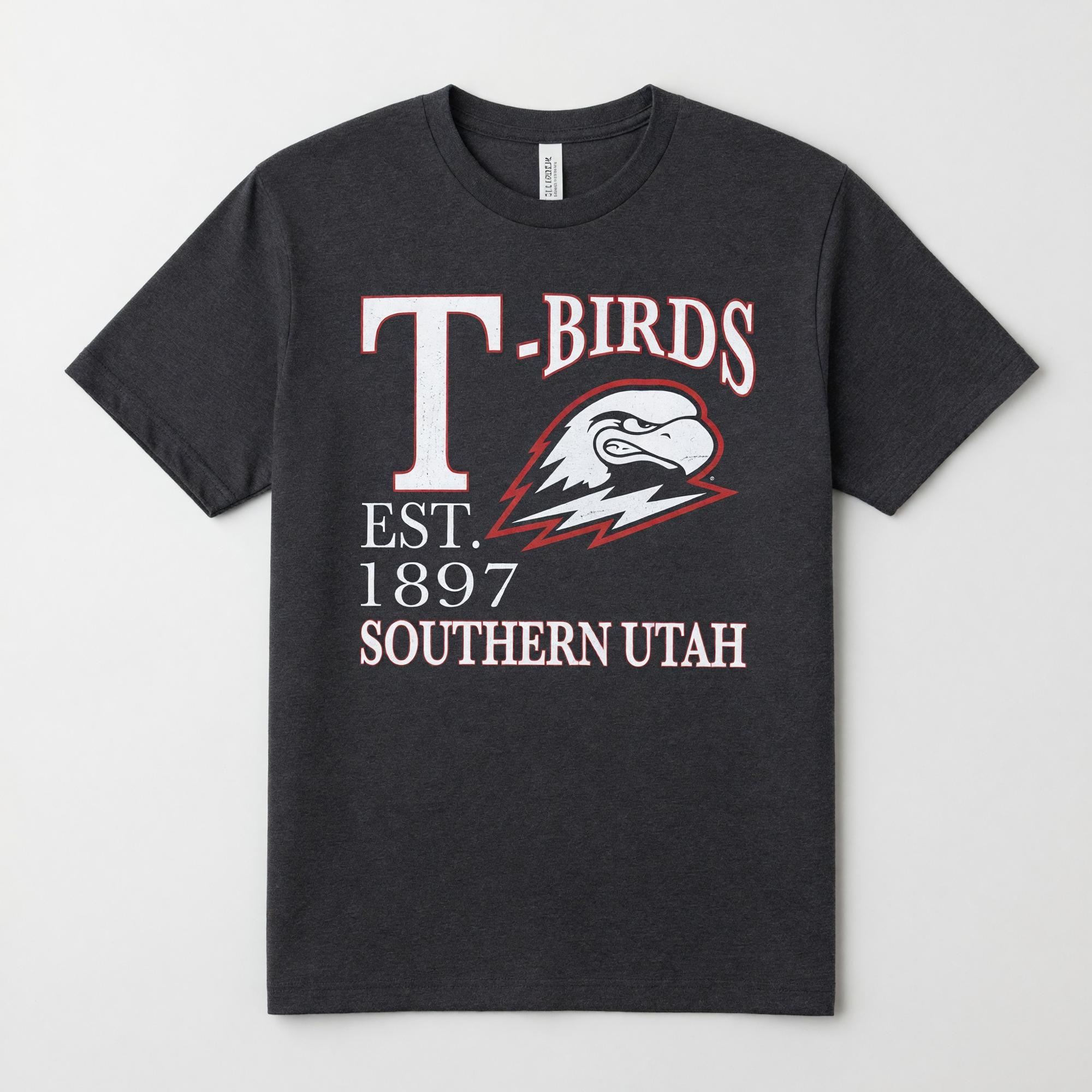 Product image 1 of 2 for CI SPORT LADIES TEE GRAY T-BIRDS 1897