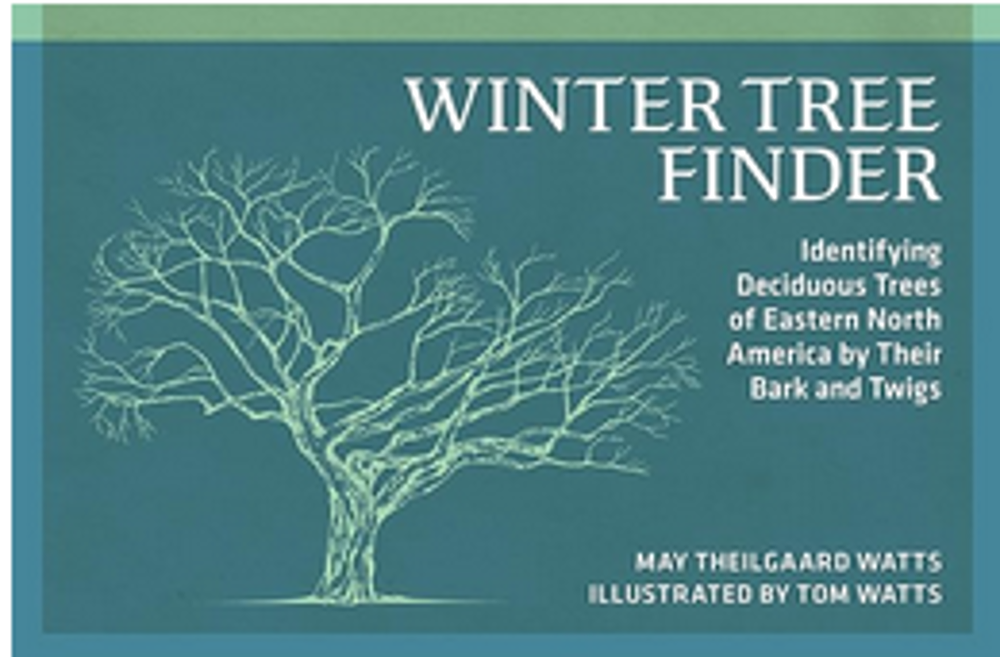 Winter Tree Finder