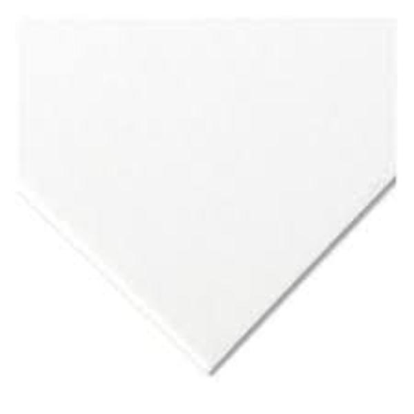 Conservation Board - White; $3.99