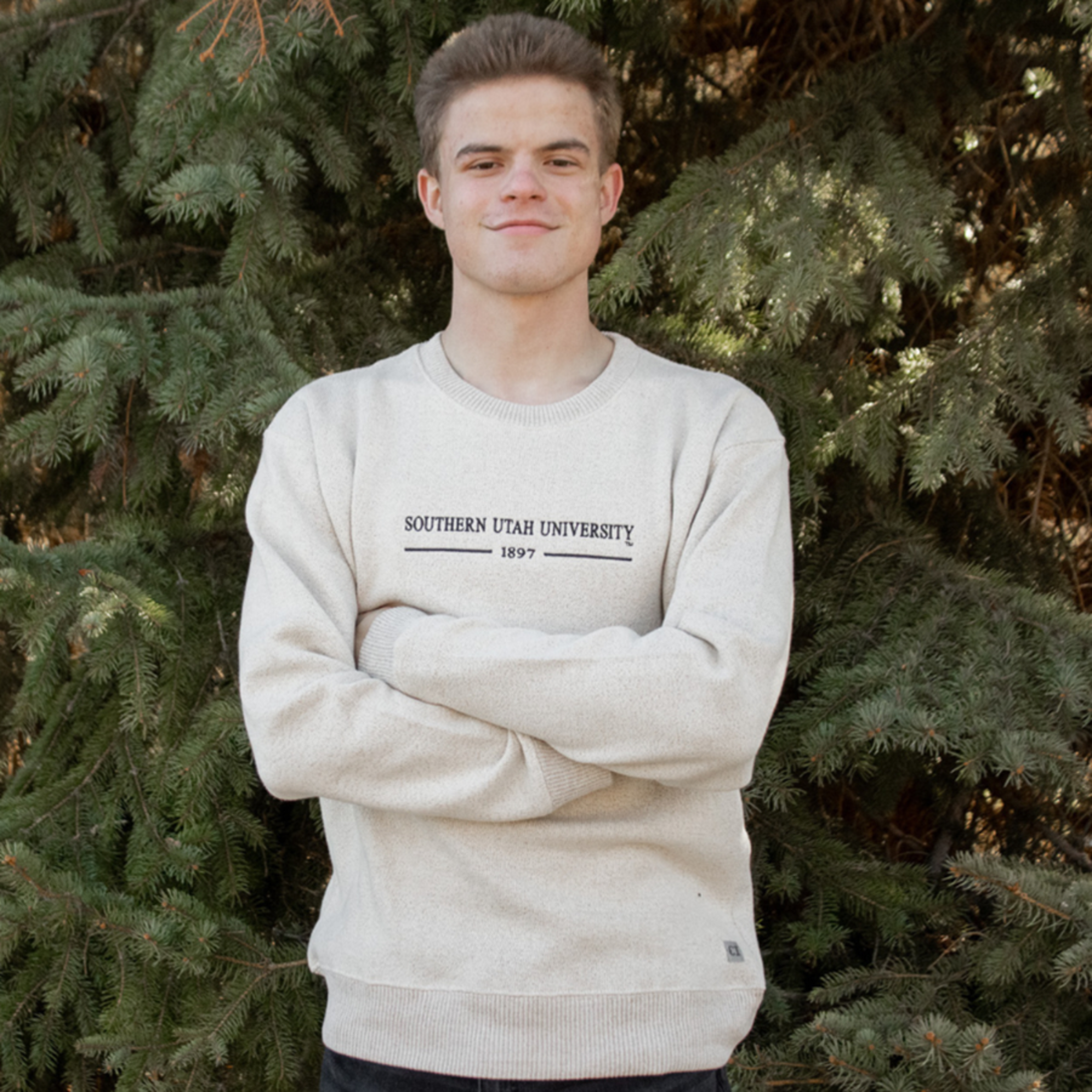 Enlarged product image