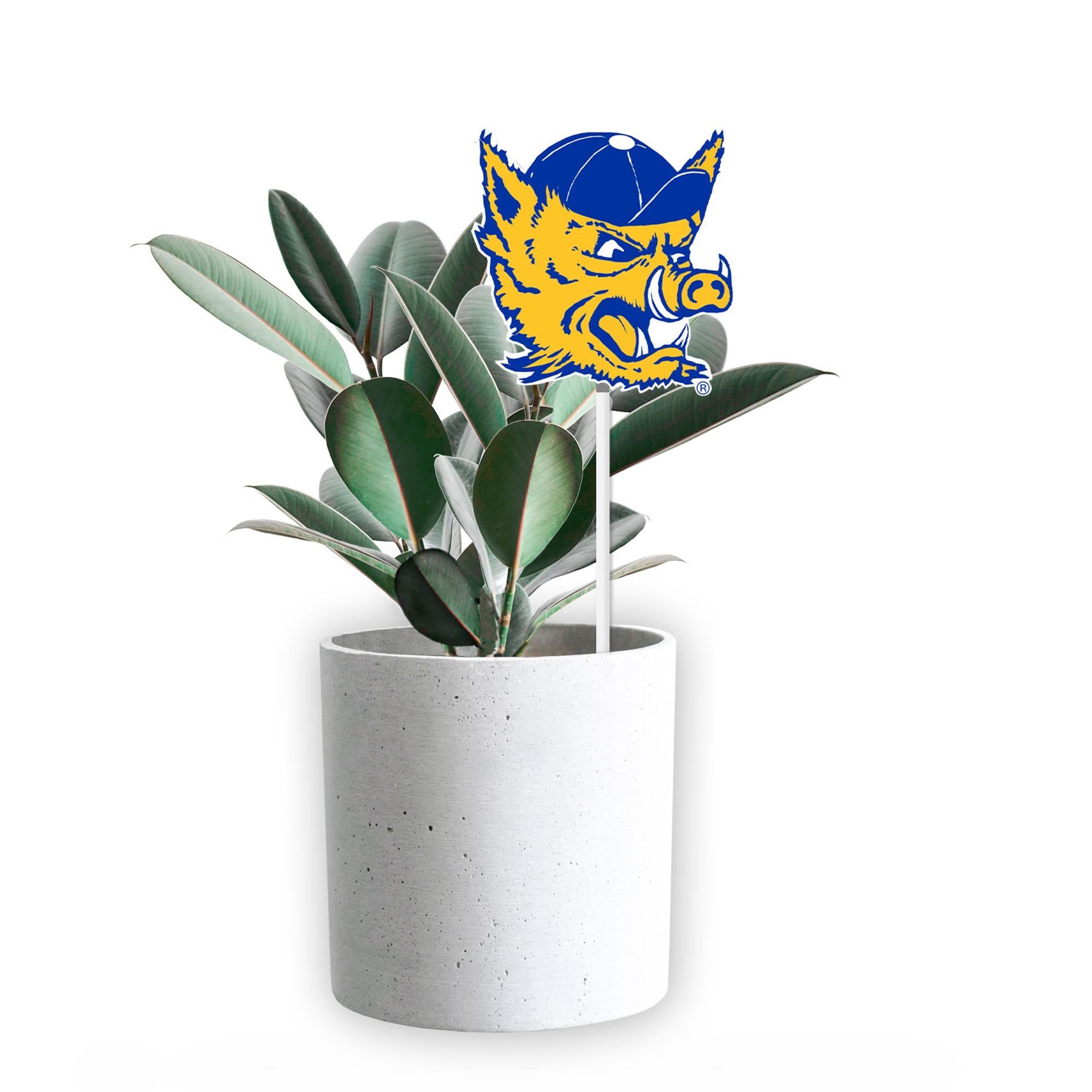 Enlarged product image