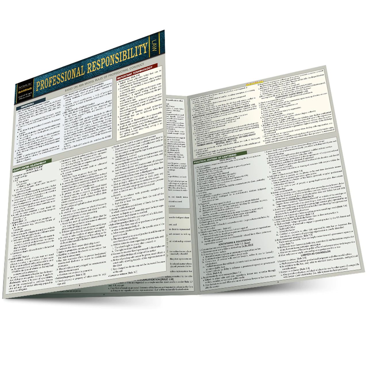 Cover image for PROFESSIONAL RESPONSIBILITY LAMINATED STUDY GUIDE