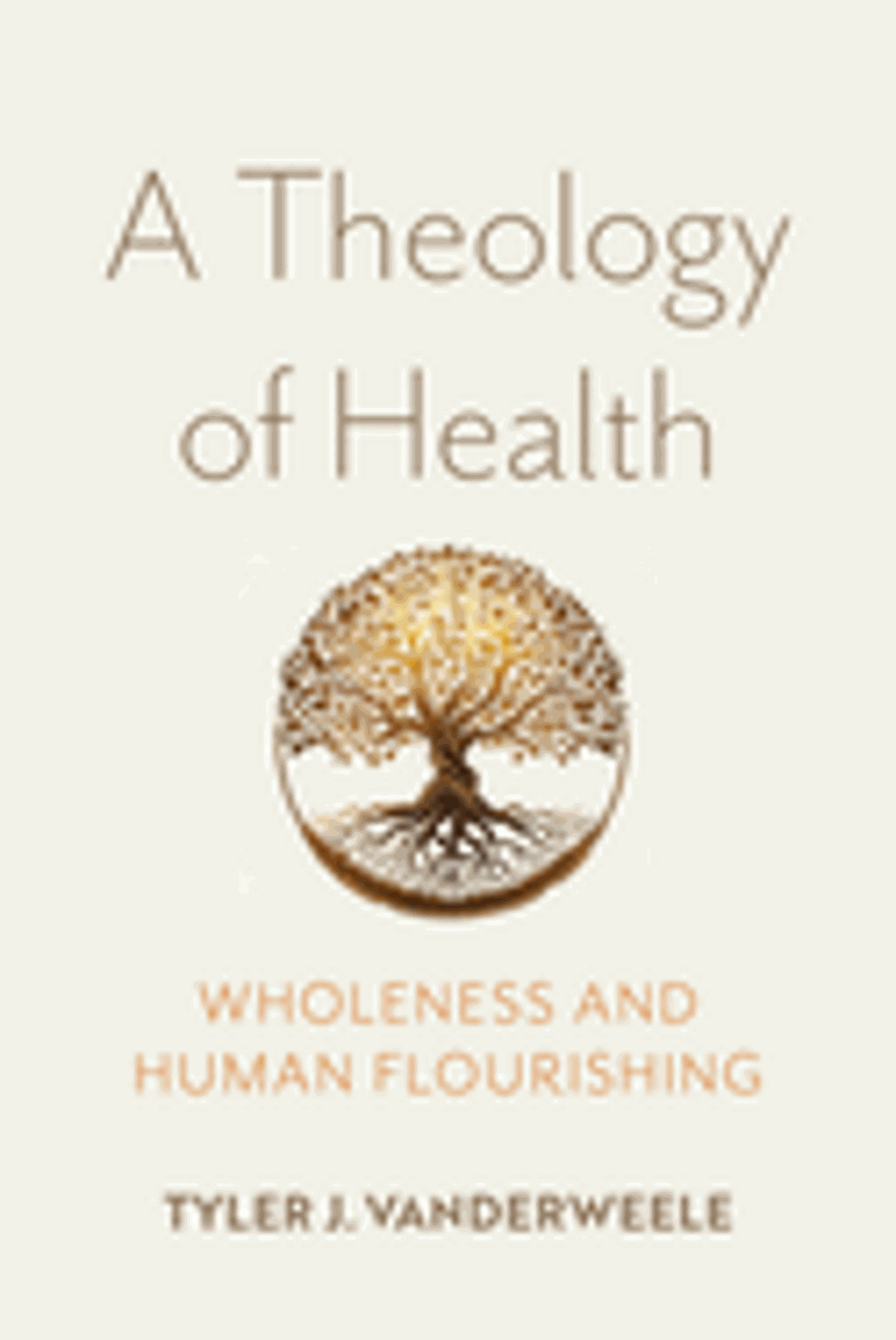 Cover image for Theology of Health PB