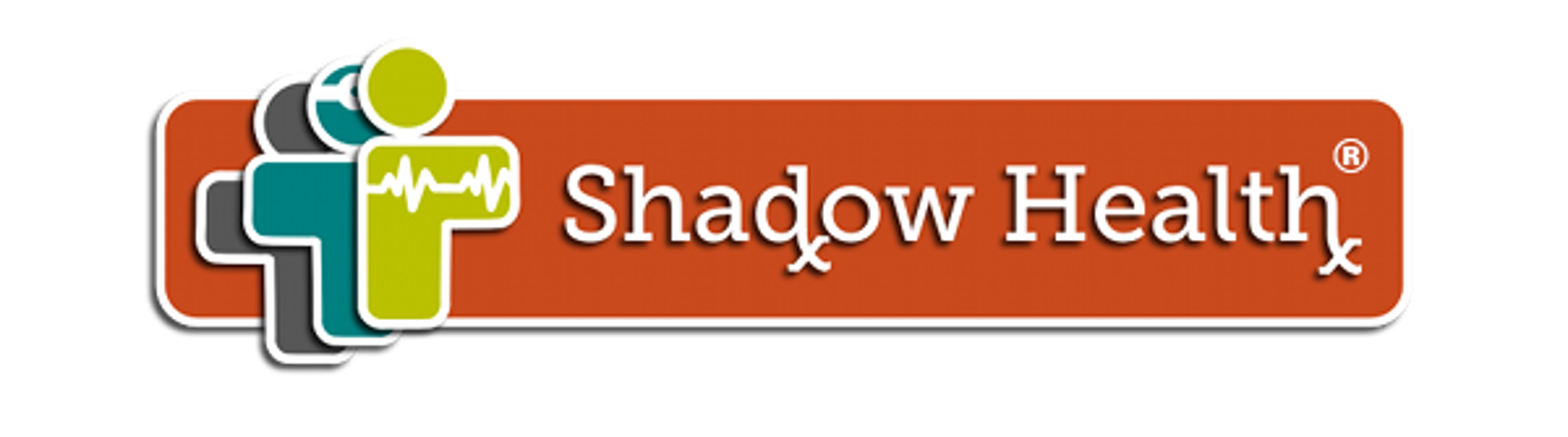 Cover image for UNDERGRADUATE HEALTH ASSESSMENT ONLINE