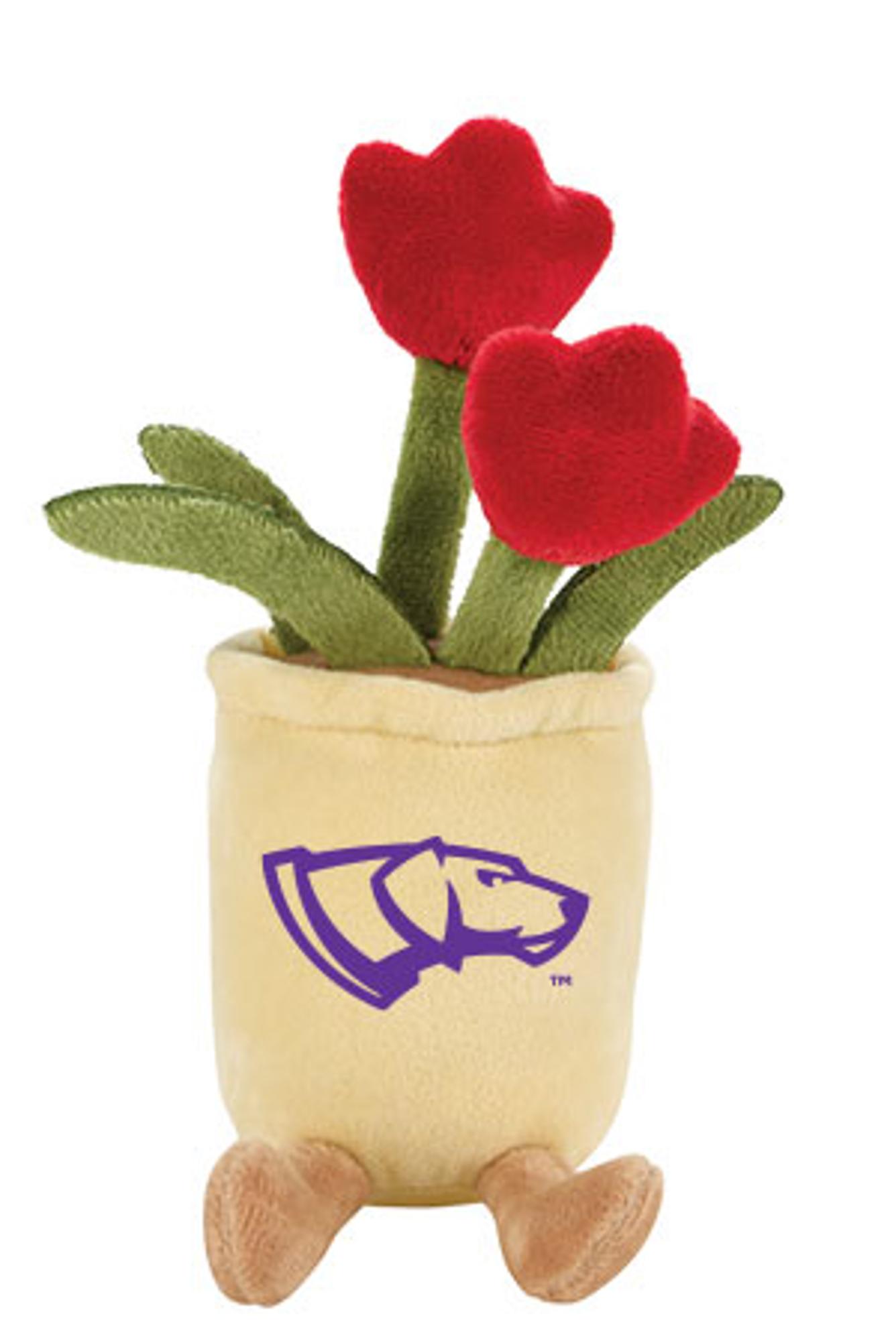 Product image 1 of 4 for UWSP Zenzies