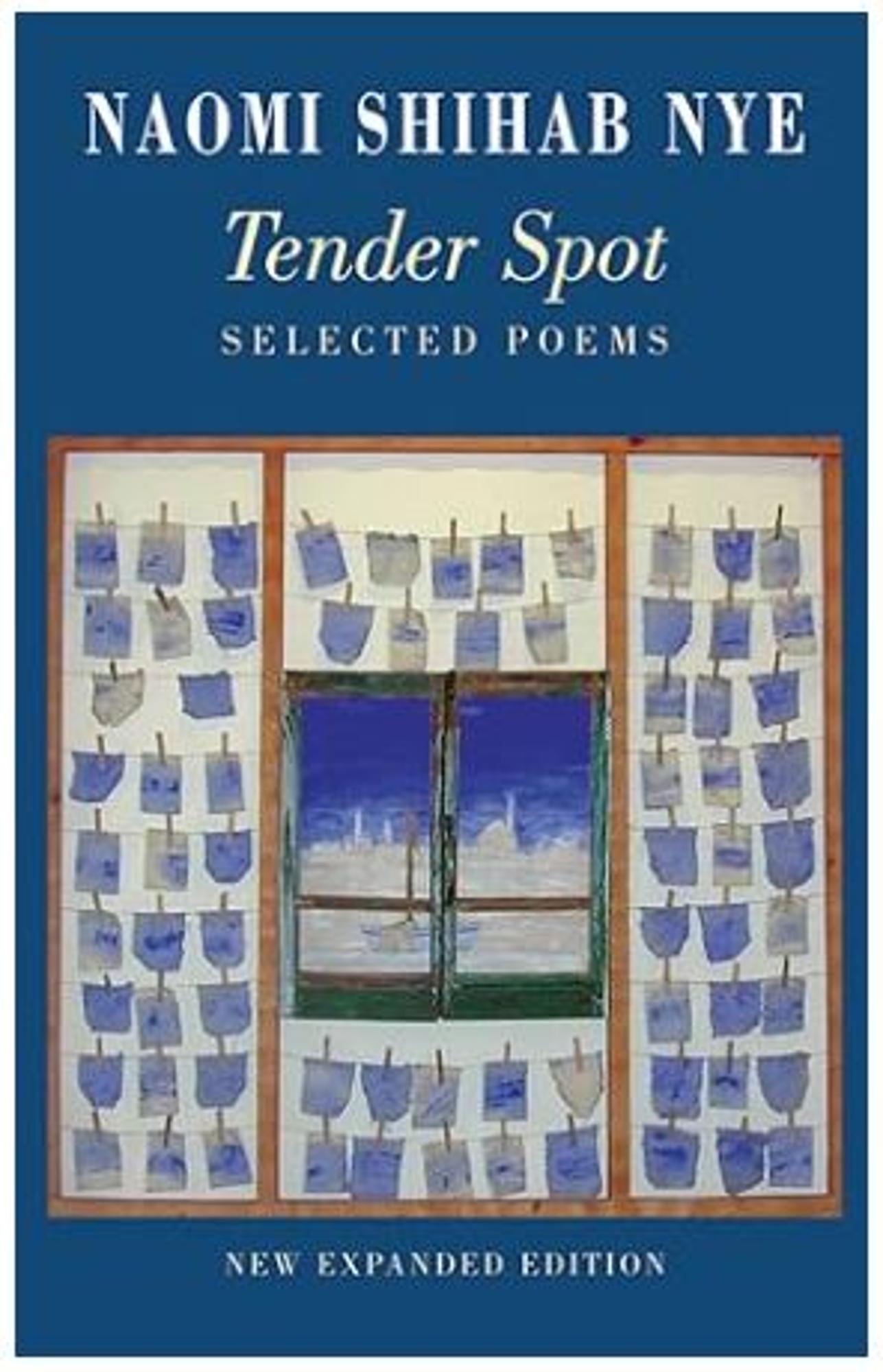 Cover image for Tender Spot: Selected Poems