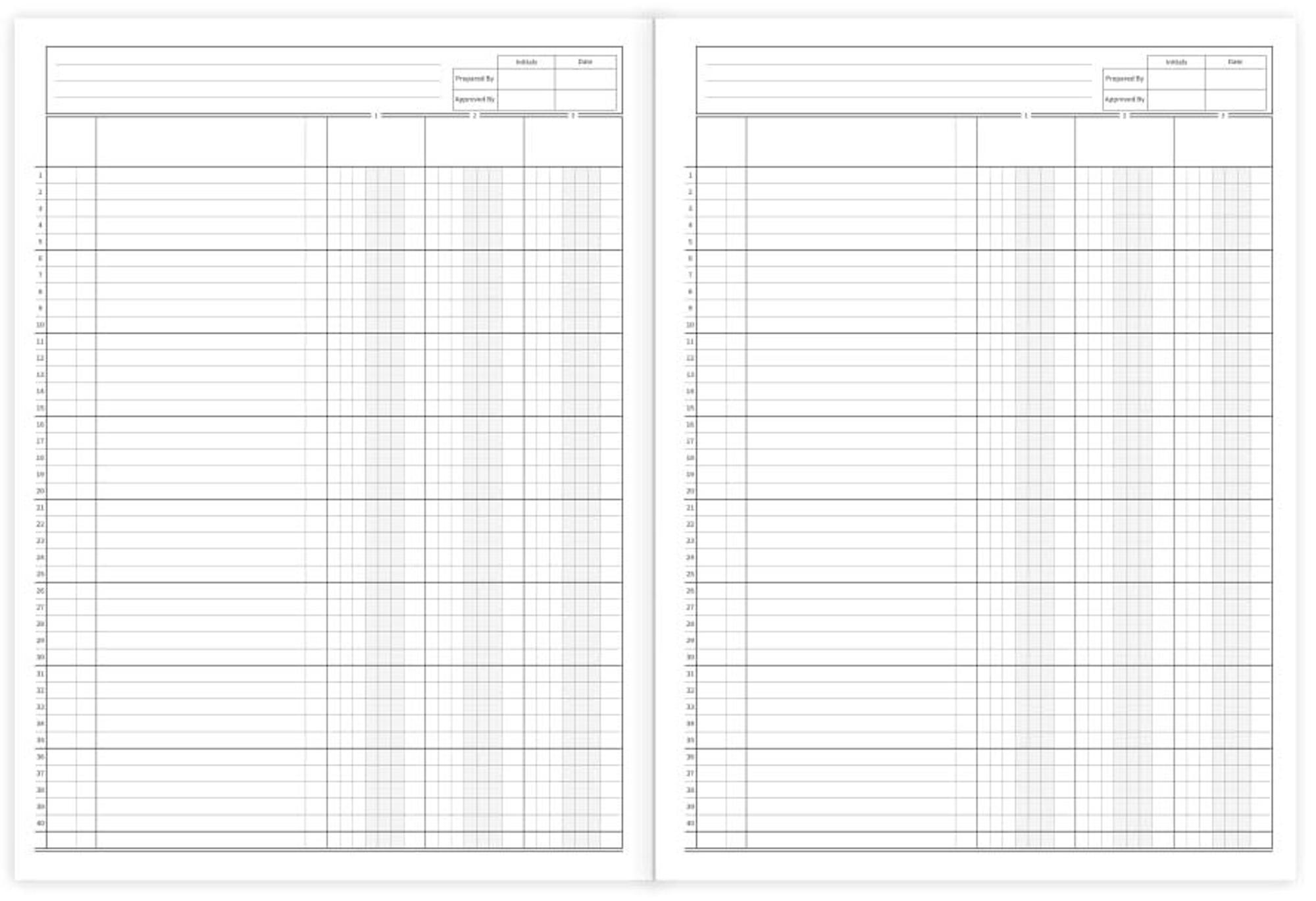 accounting ledger paper template