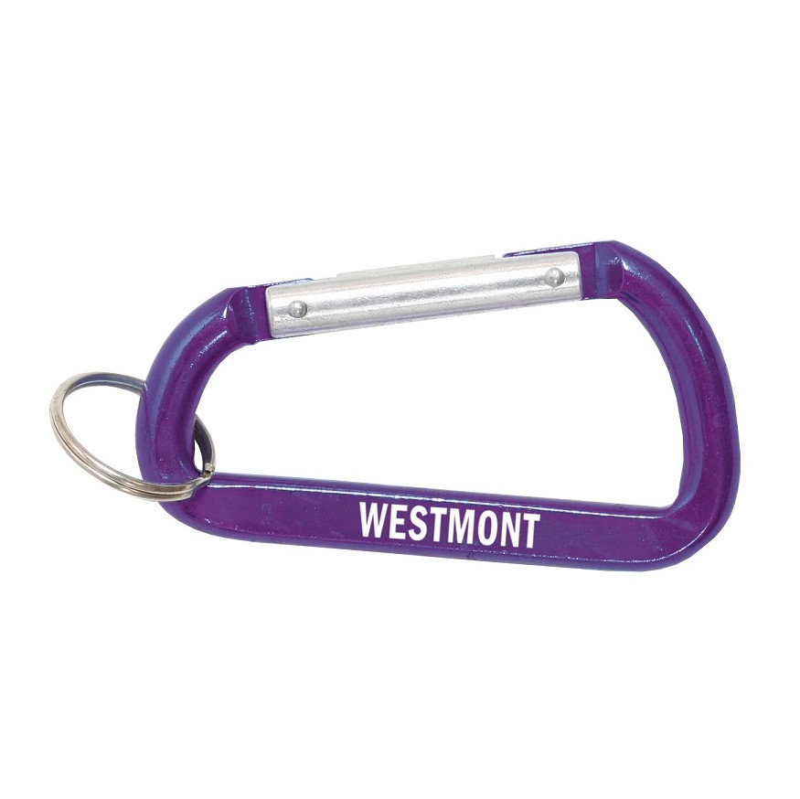 Enlarged product image