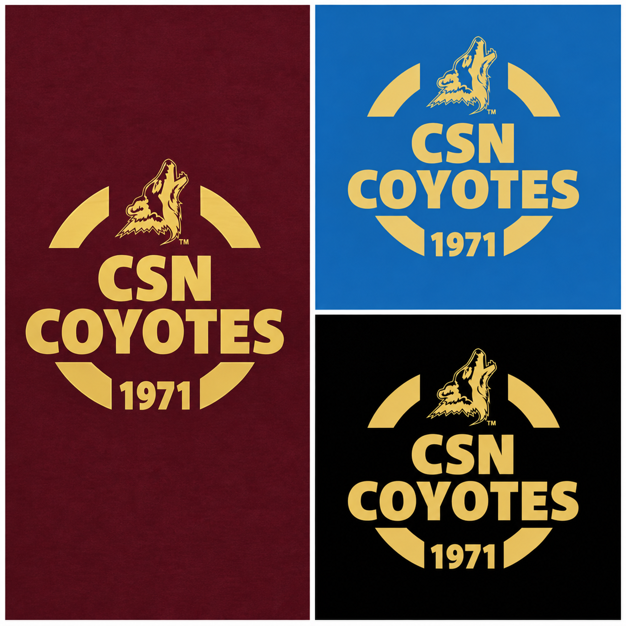 Product image 1 of 1 for Foil imprint CSN Folders