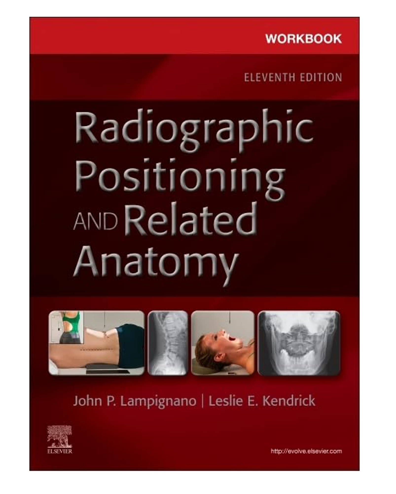 Cover image for Radiographic Positioning and Related Anatomy Workbook,