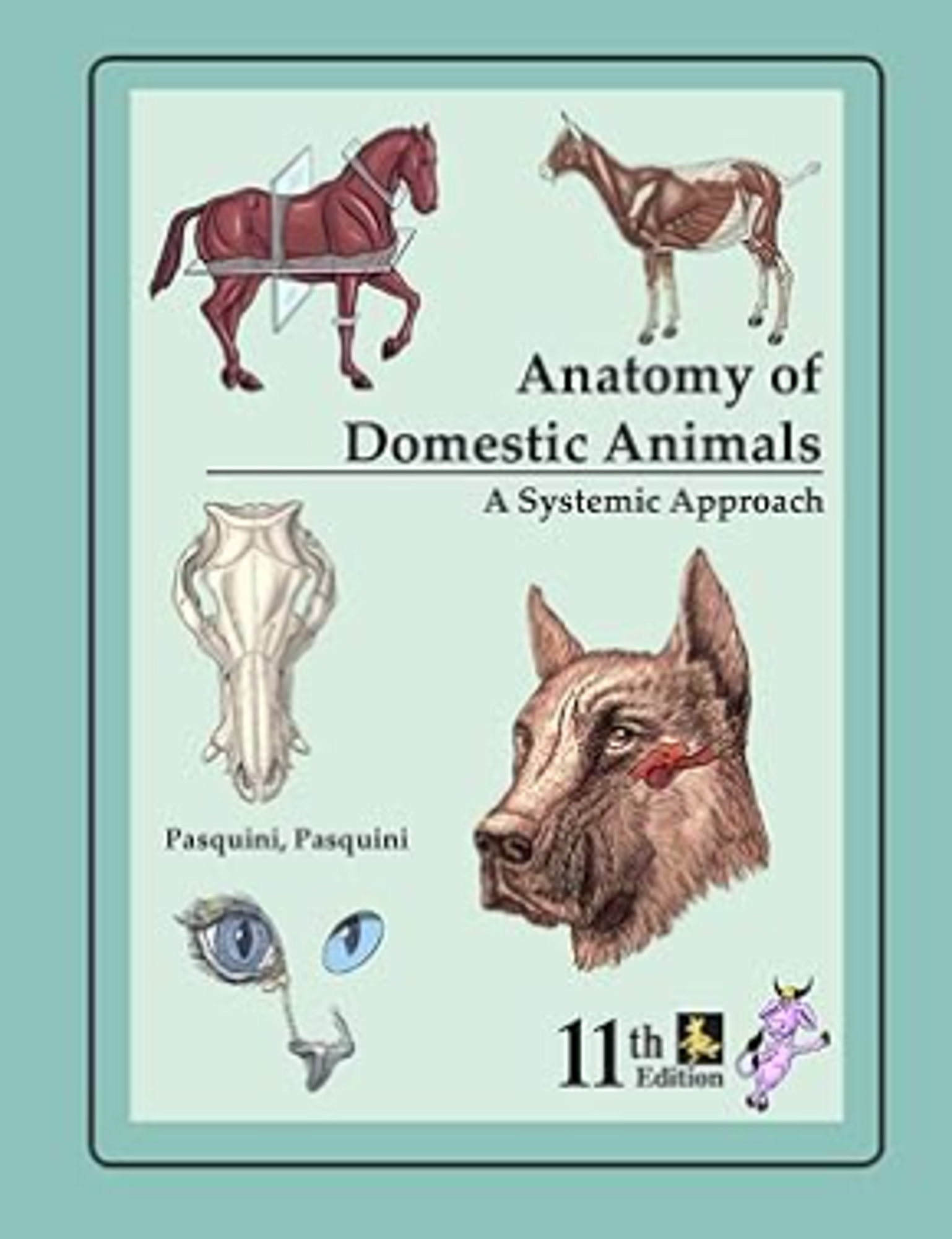 Cover image for ANATOMY OF DOMESTIC ANIMALS