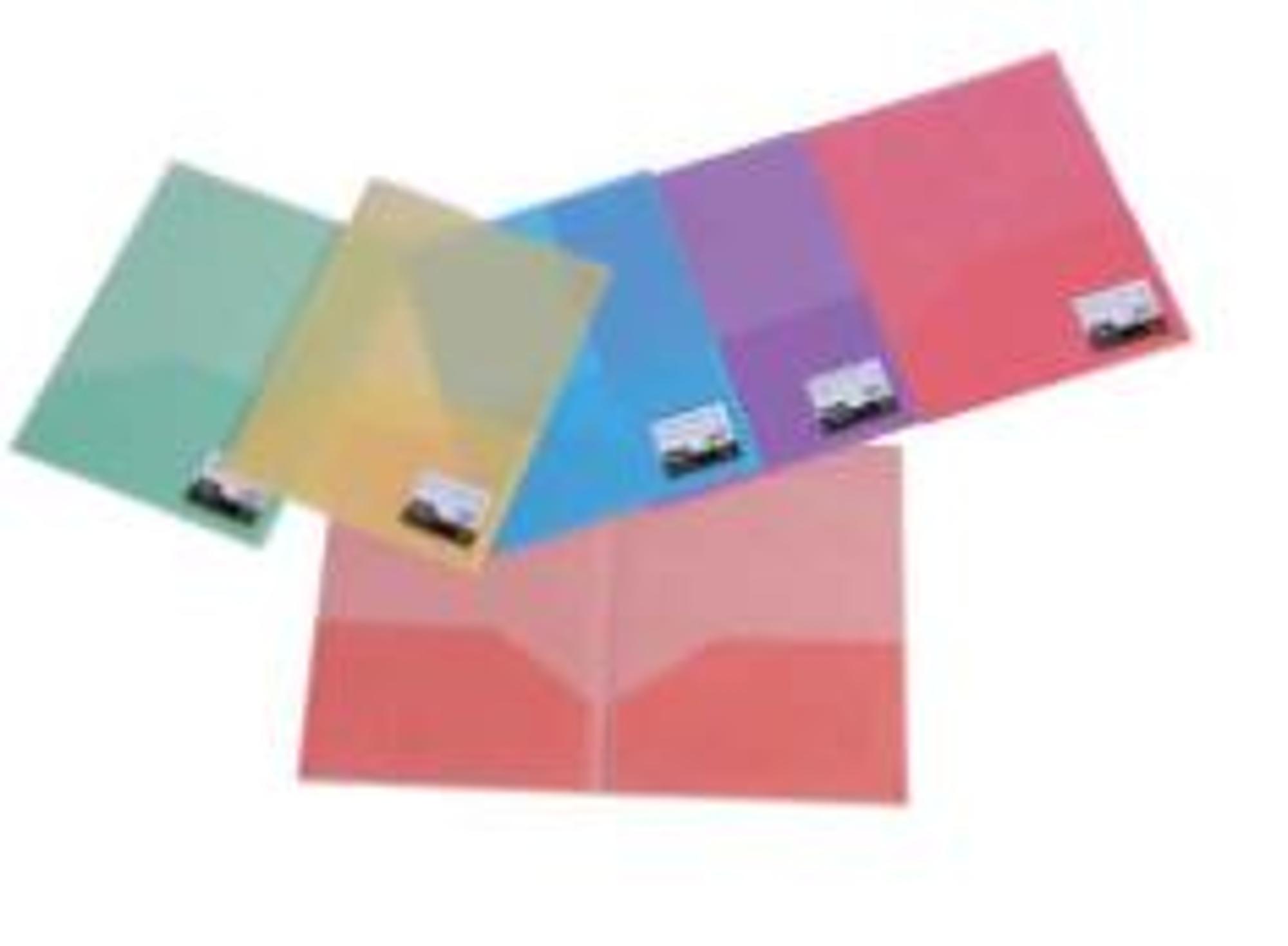 PORTFOLIO - Frosted 2 Pocket Portfolios