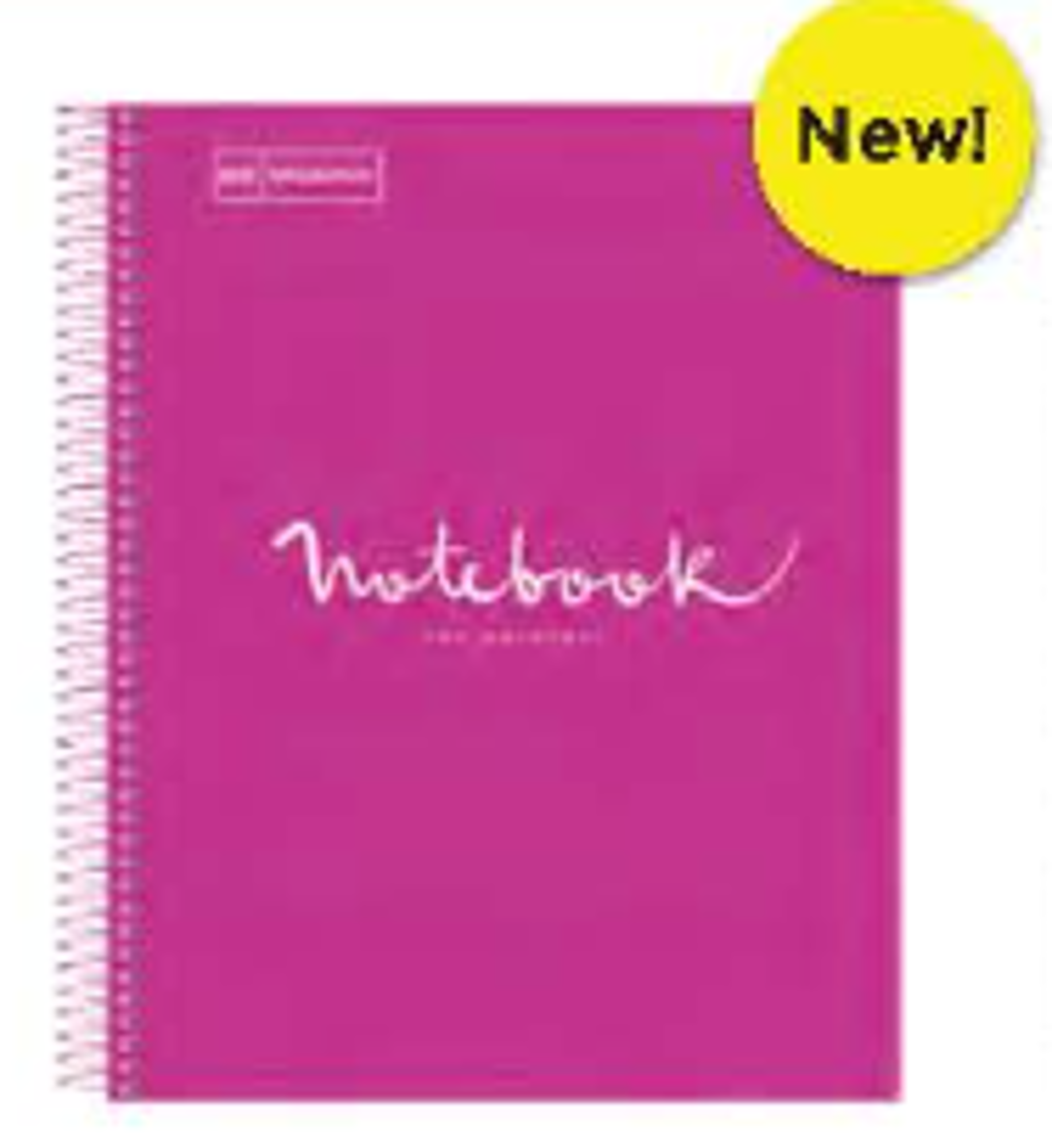 Variant 6 of 8 for Emotions Notebook 1 Subject