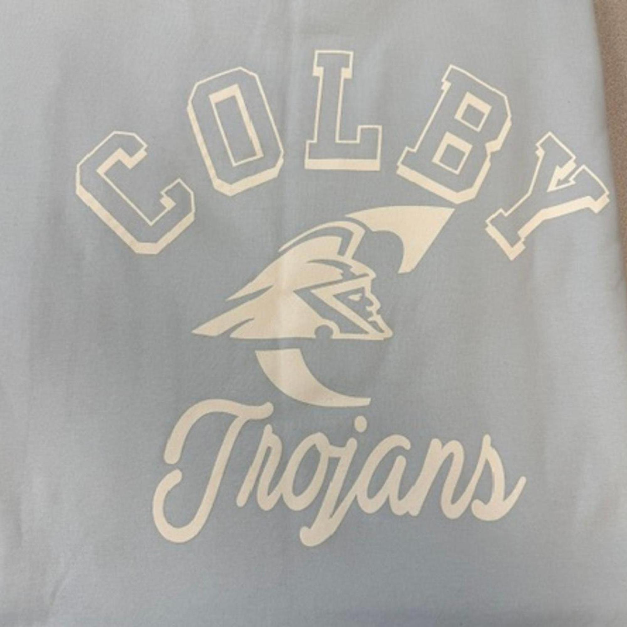 Variant 10 of 17 for Sweatshirt Blanket