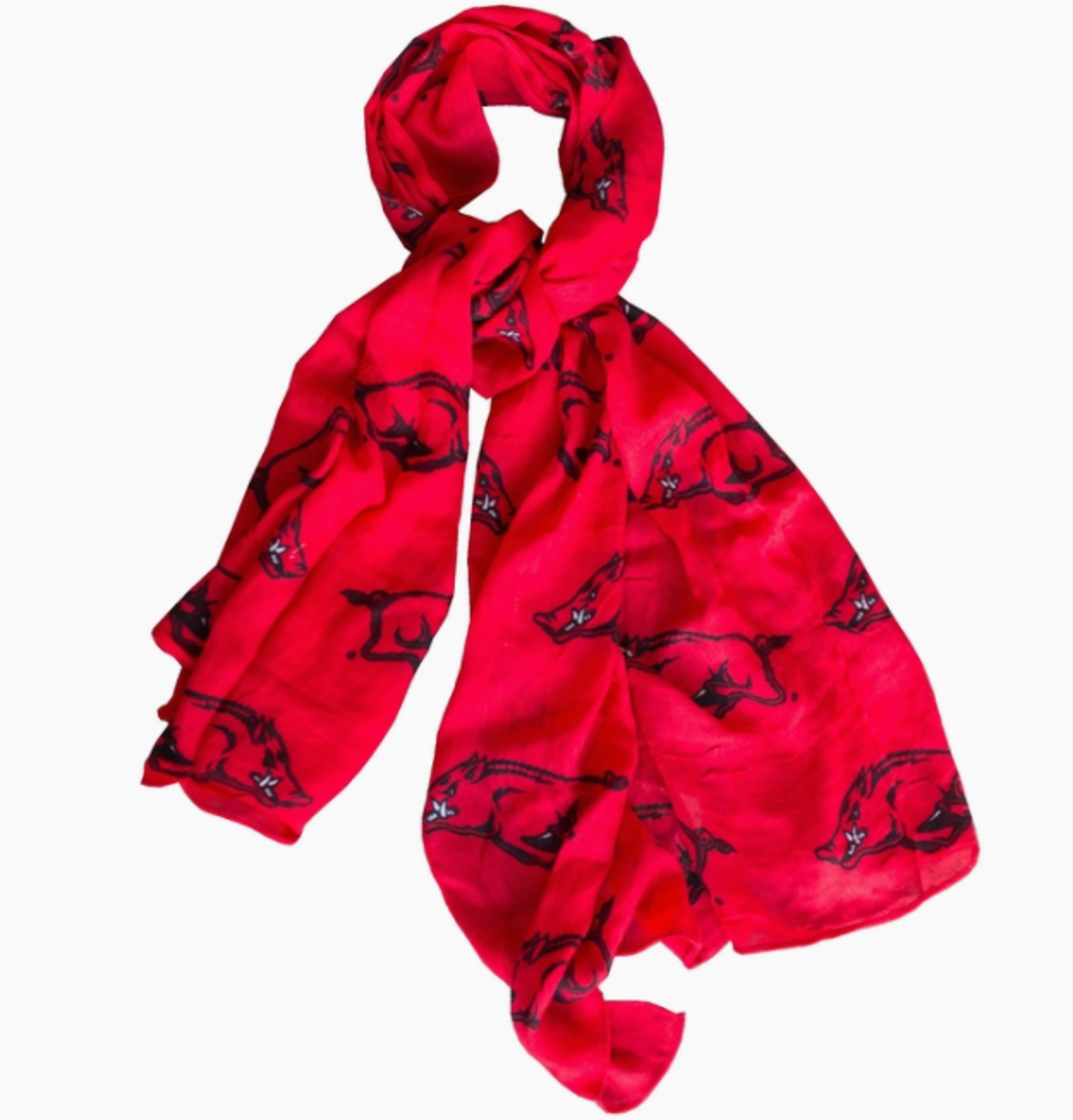 image of: Arkansas Razorbacks Emerson Street Logo Scarf