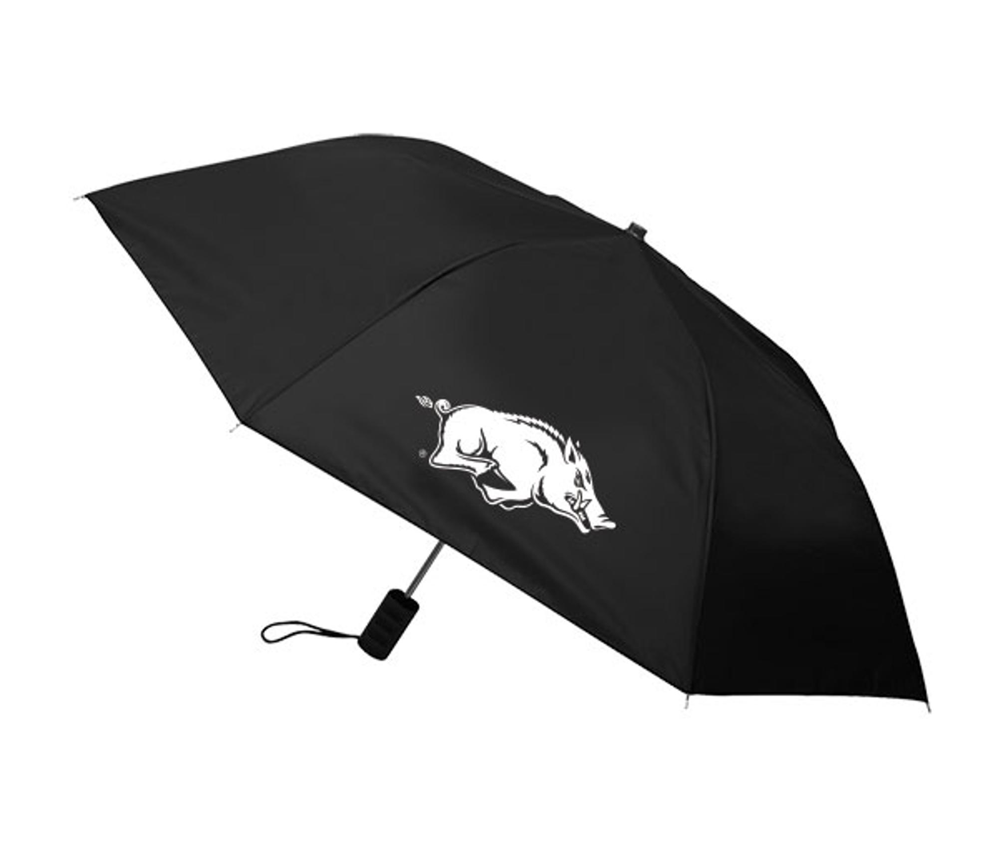 Enlarged product image