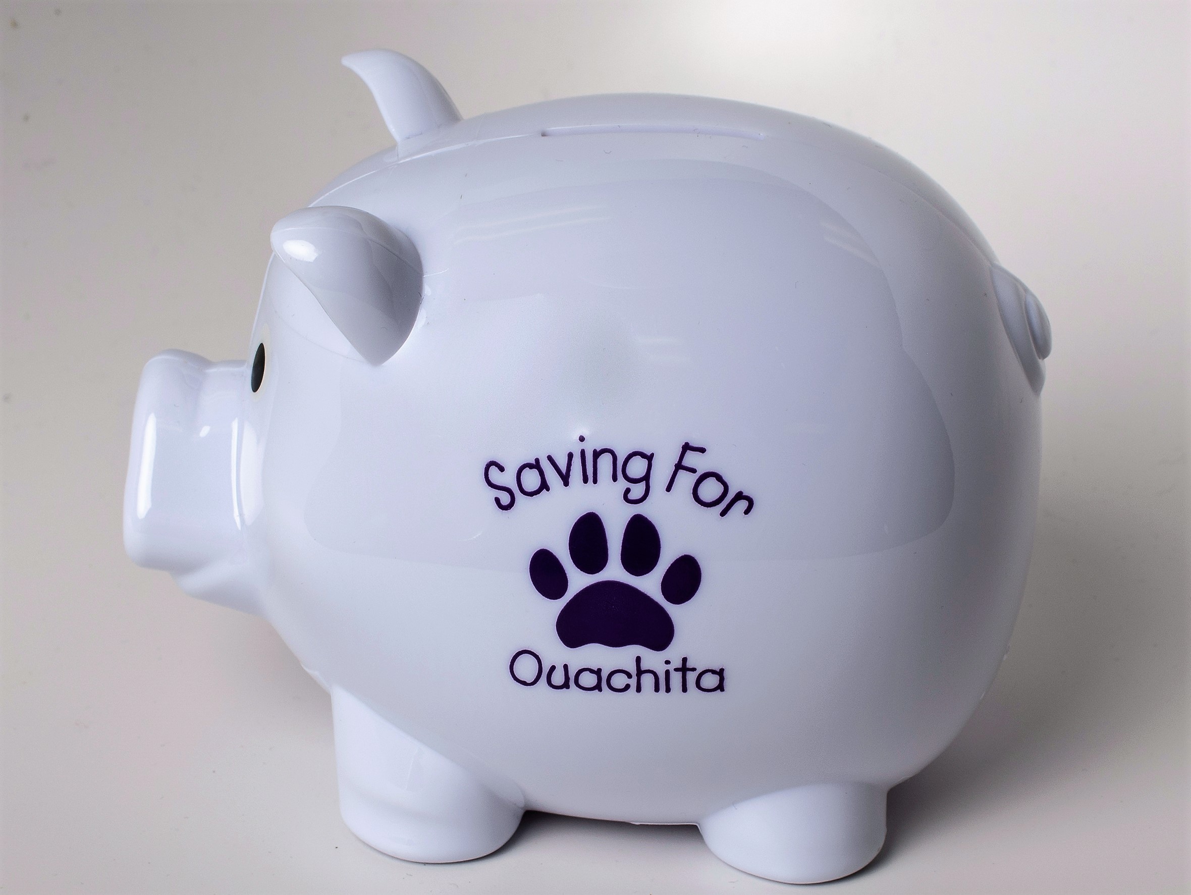 image of: SAVING FOR OUACHITA PIGGY BANK