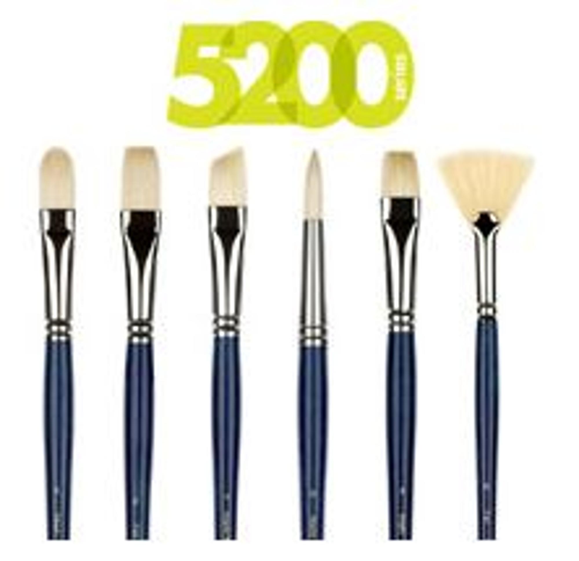 image of: Ashley 5200 Chinese Bristle Long Handle Brushes