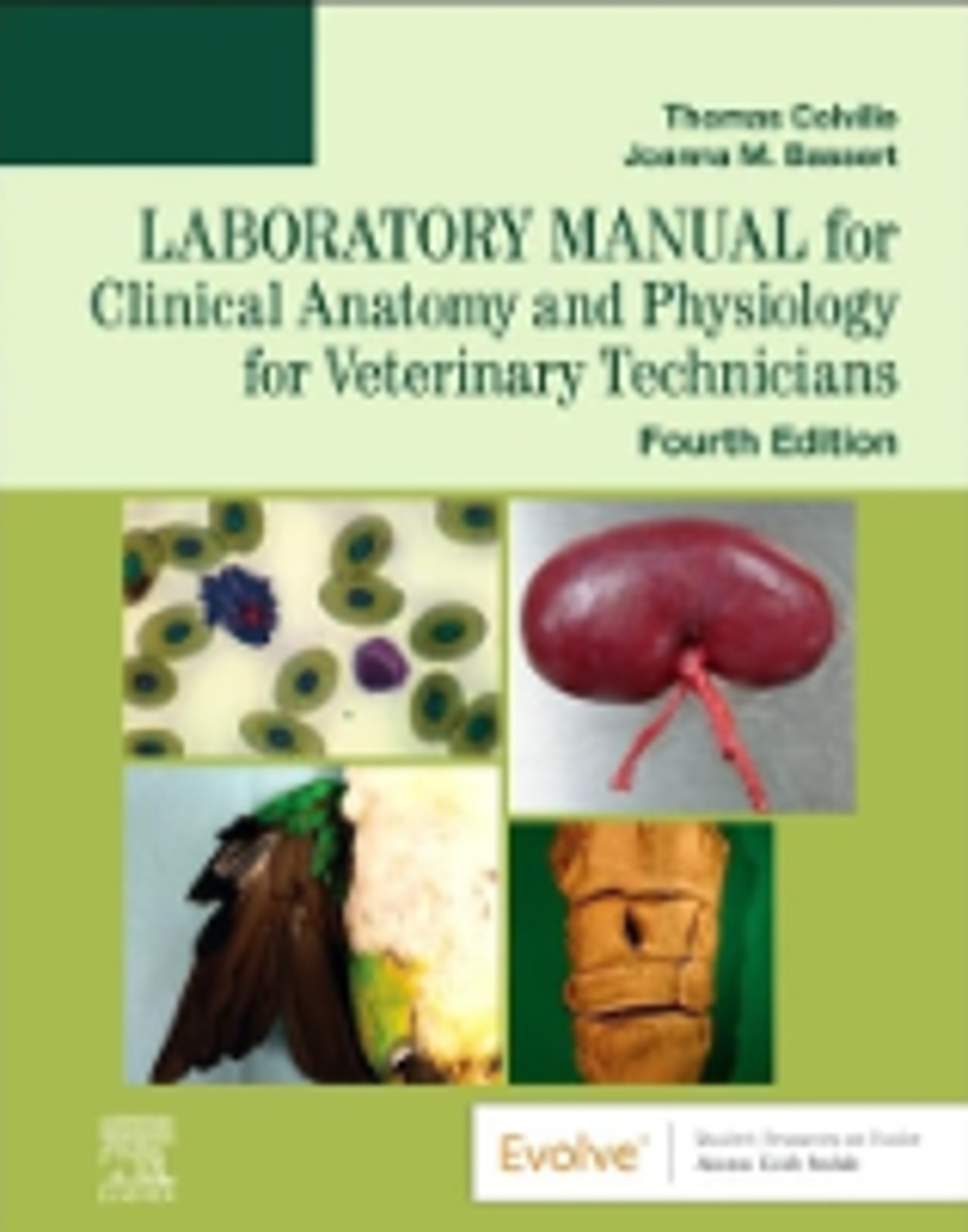 Cover image for Laboratory Manual for Clinical Anatomy and Physiology for Veterinary Technicians