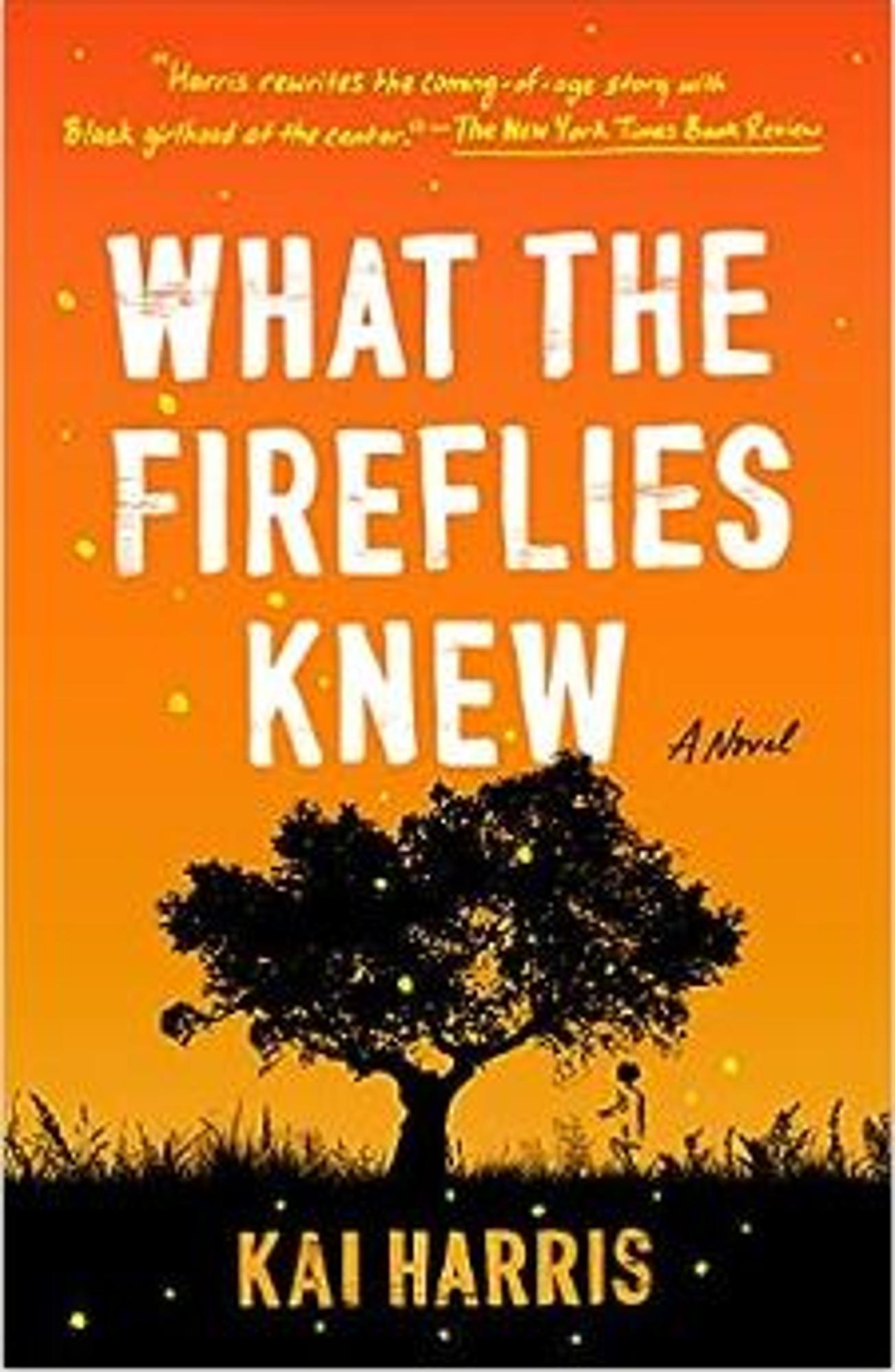 Cover image for What the Fireflies Knew