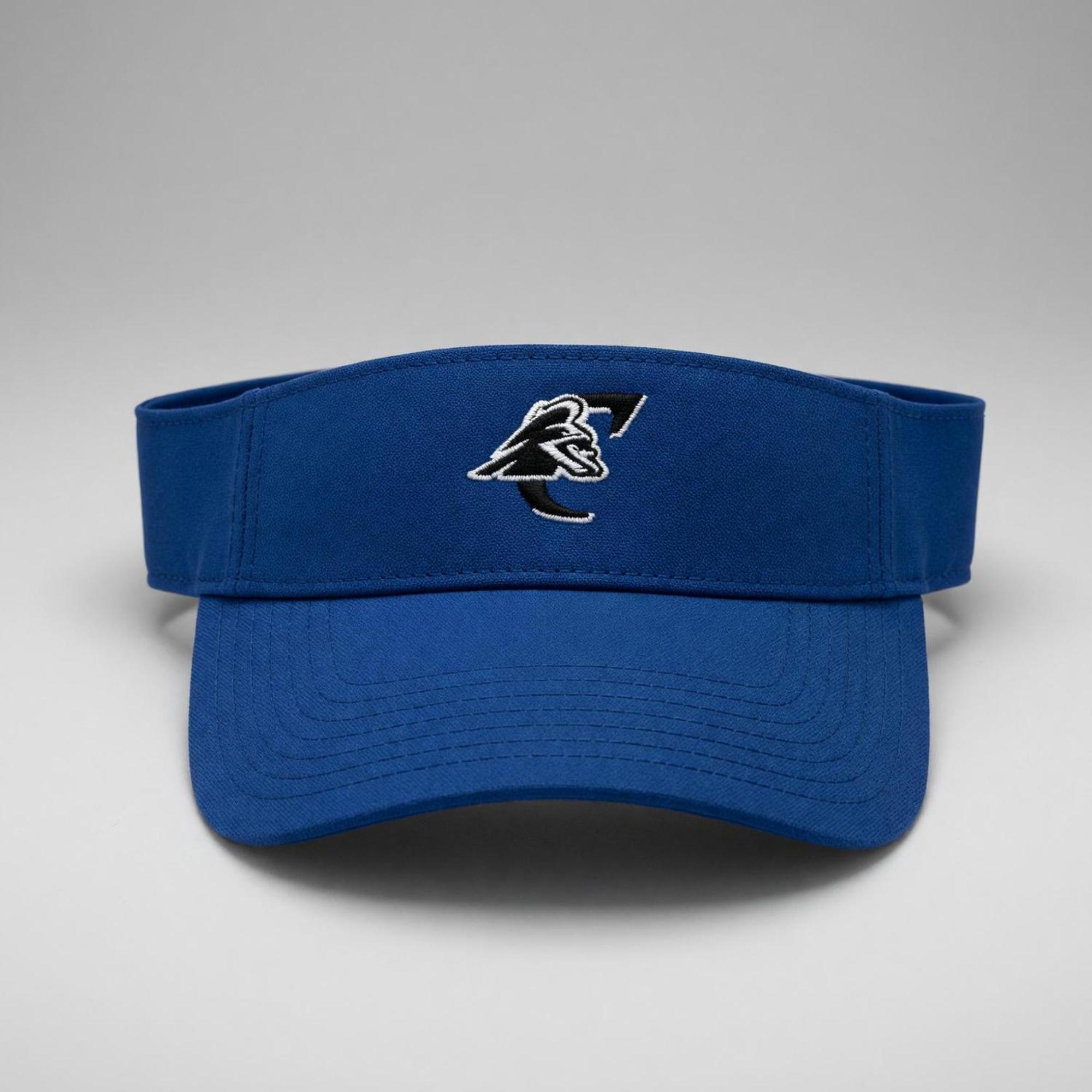Product image 1 of 1 for Blue Visor