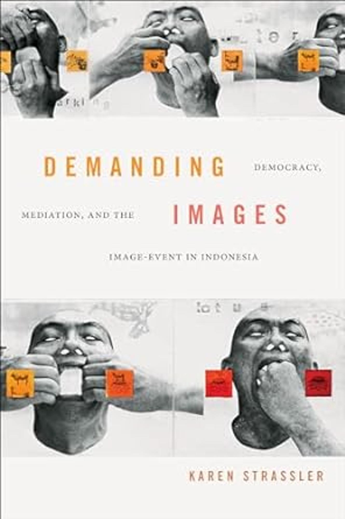 Cover image for DEMANDING IMAGES